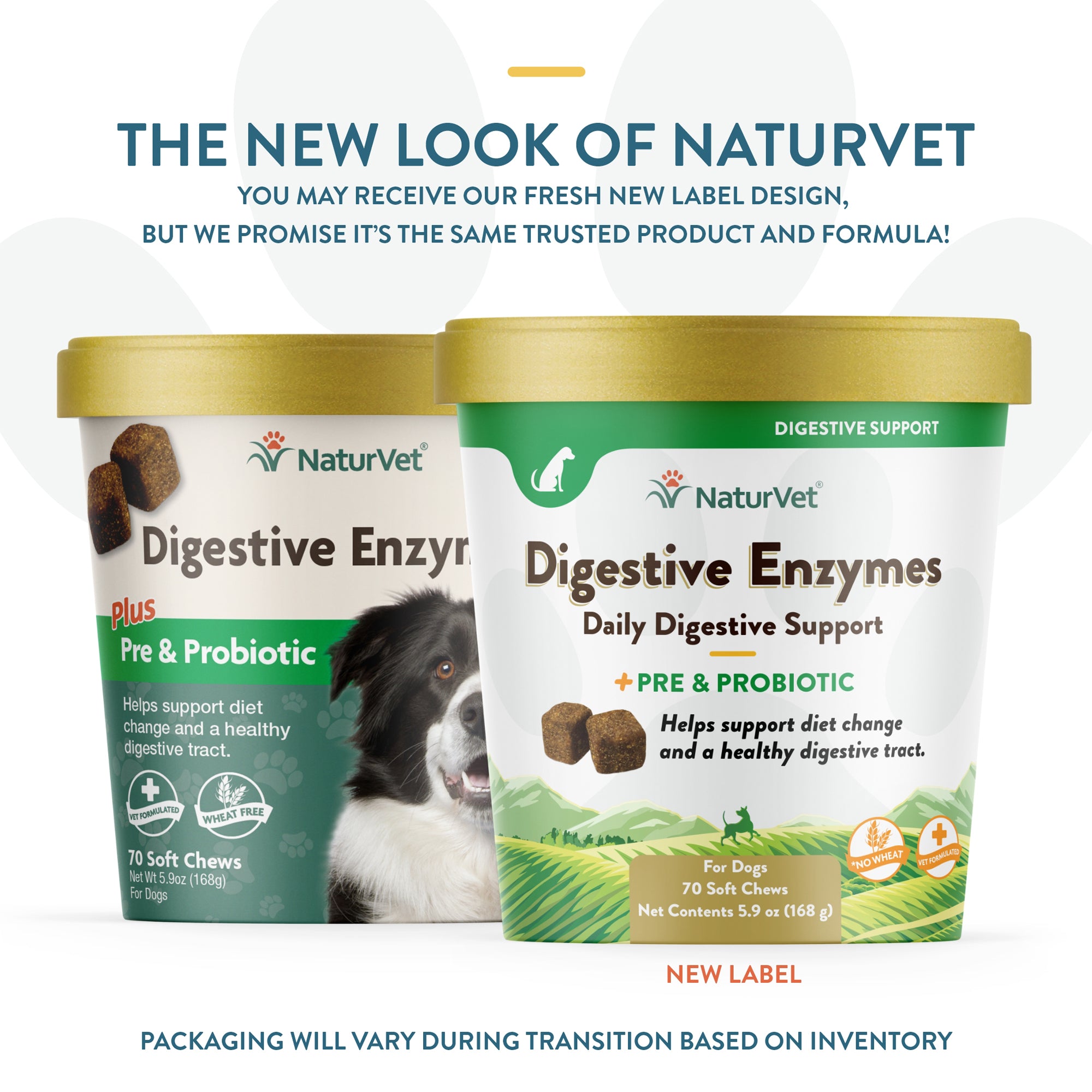 NaturVet Digestive Enzymes Plus Probiotic for Dogs 120 Soft Chews