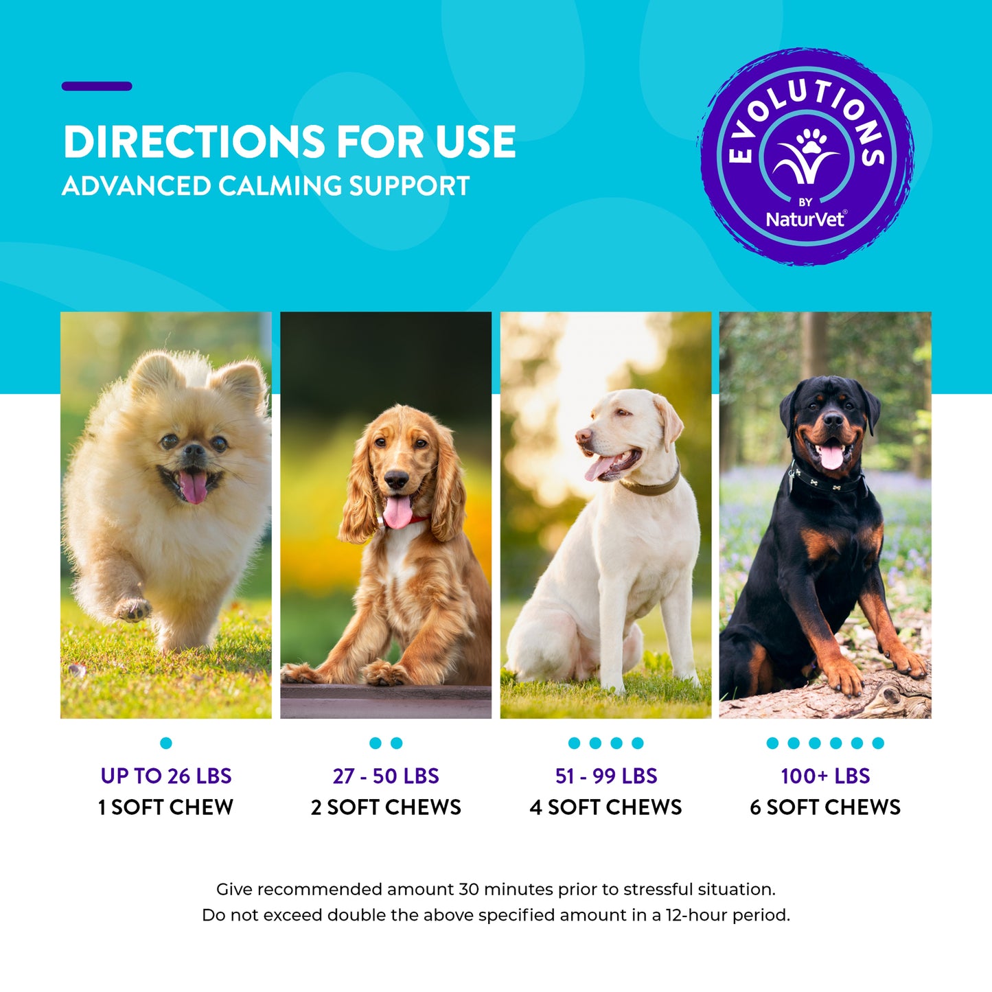 Evolutions - Advanced Calming Support Soft Chews