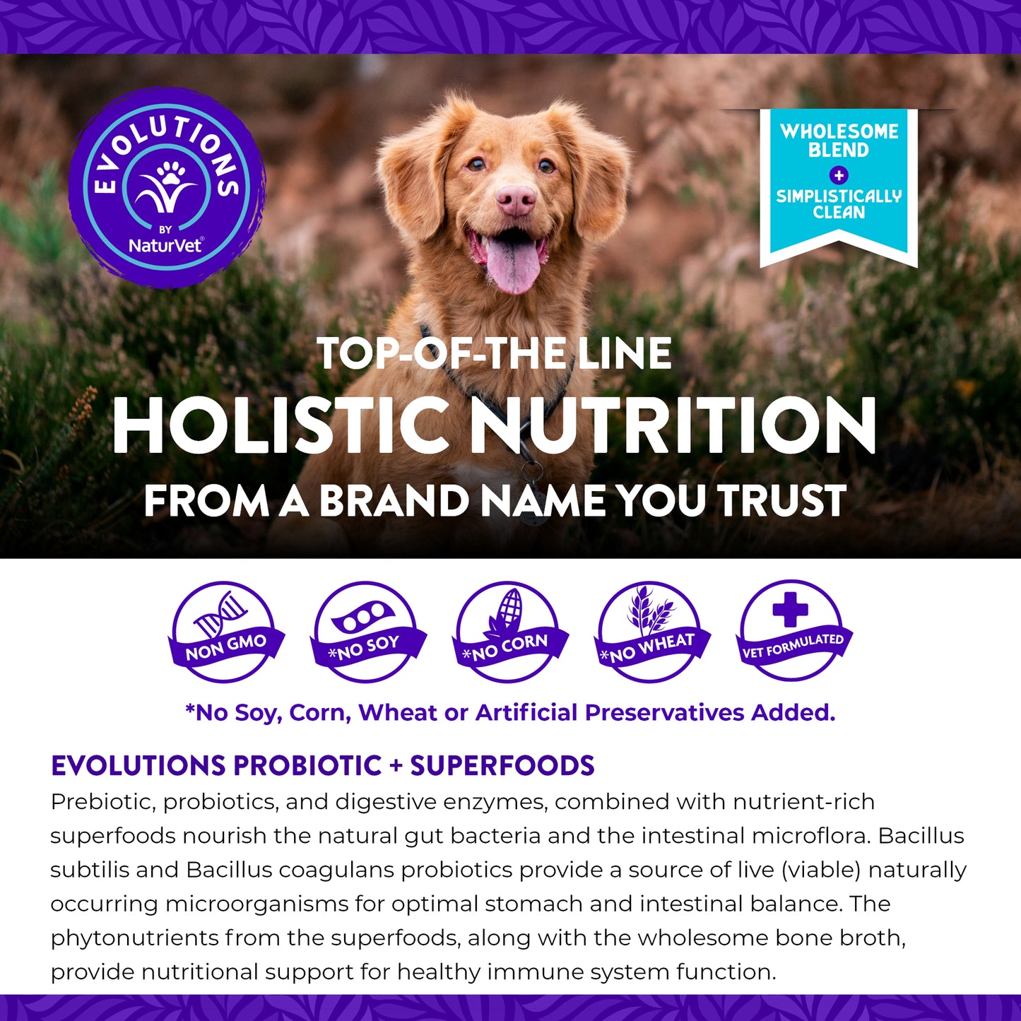 Evolutions - Probiotic + Superfoods Sachet