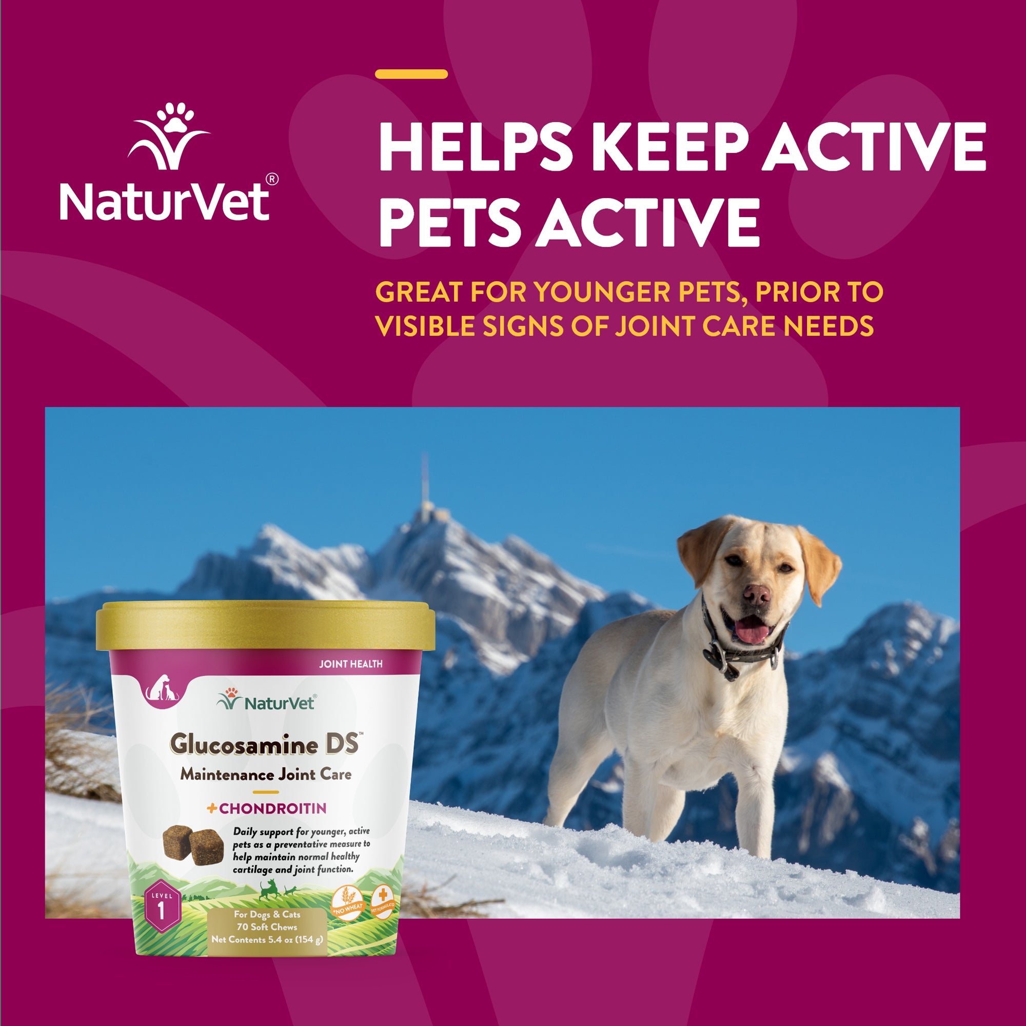 Chewable glucosamine for outlet dogs