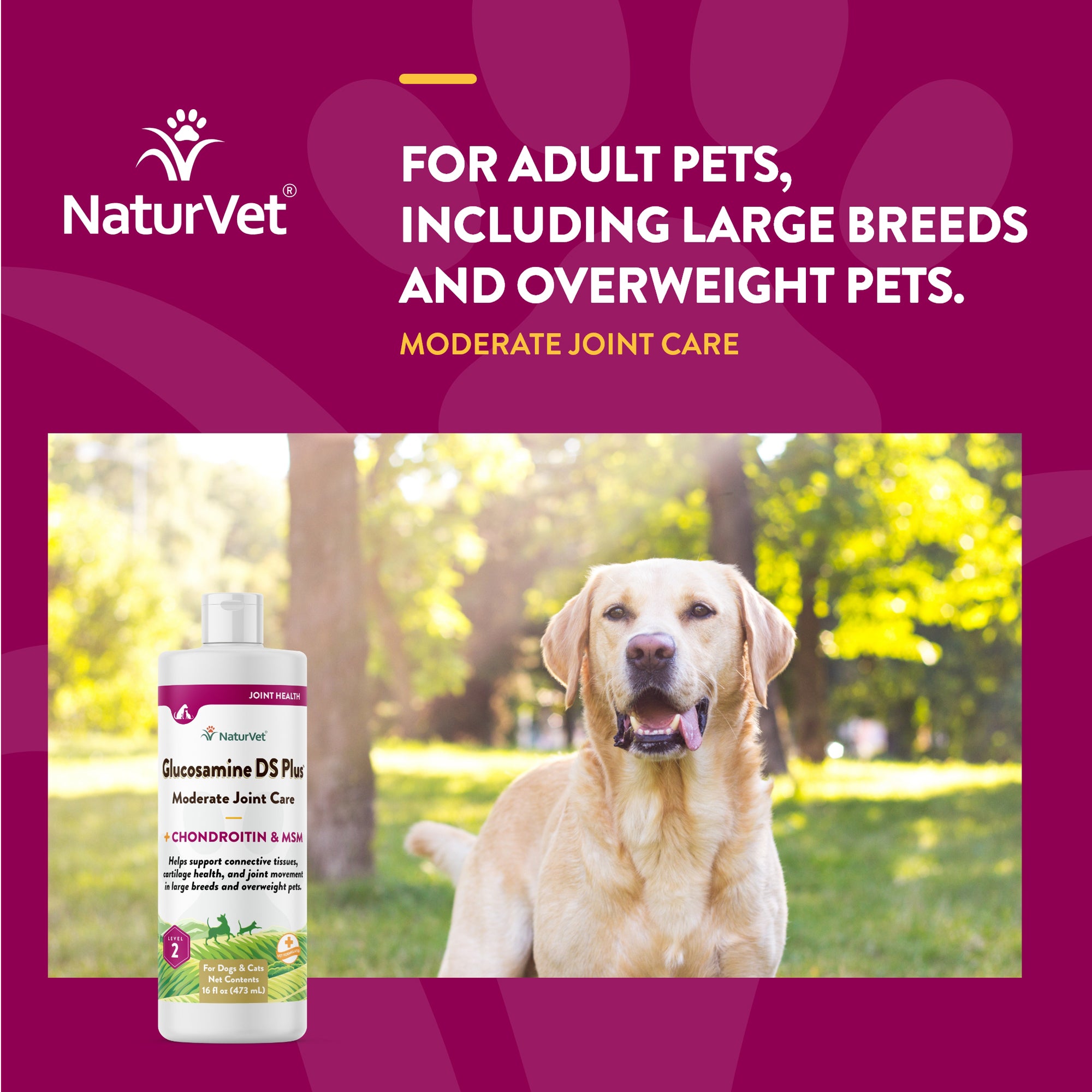 Naturvet glucosamine ds plus level 2 sale