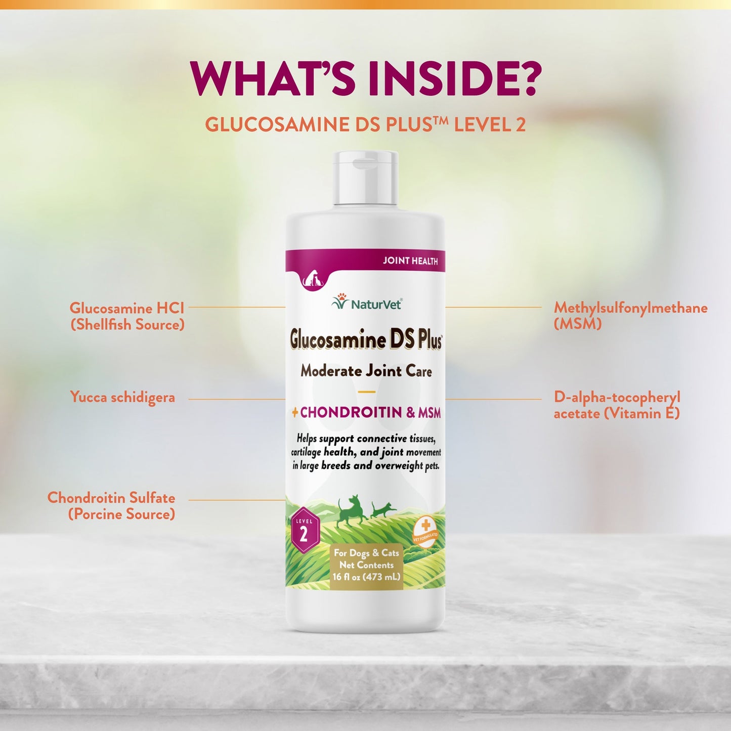 Glucosamine DS Plus™ Liquid