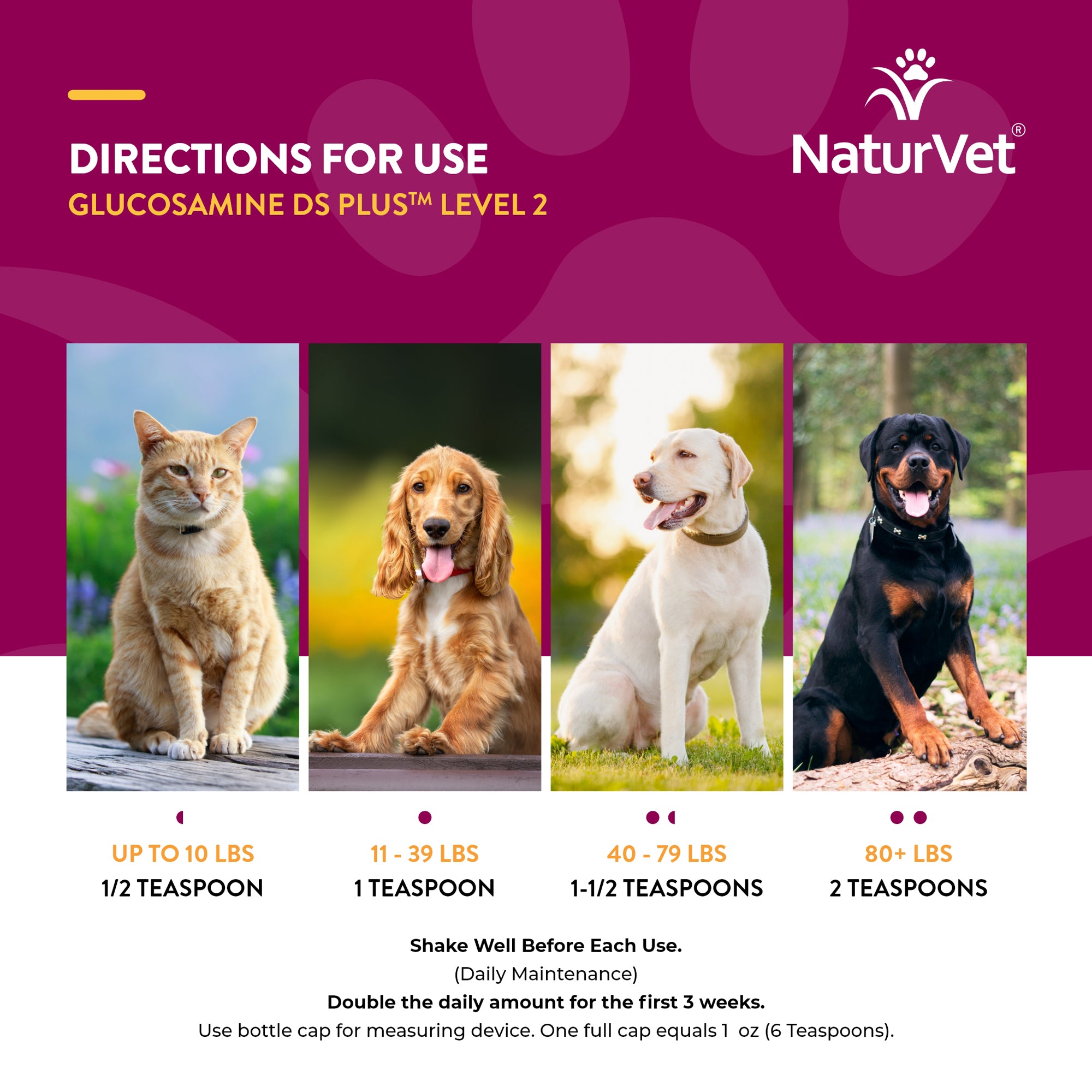 NaturVet Glucosamine DS Plus Liquid 16 oz