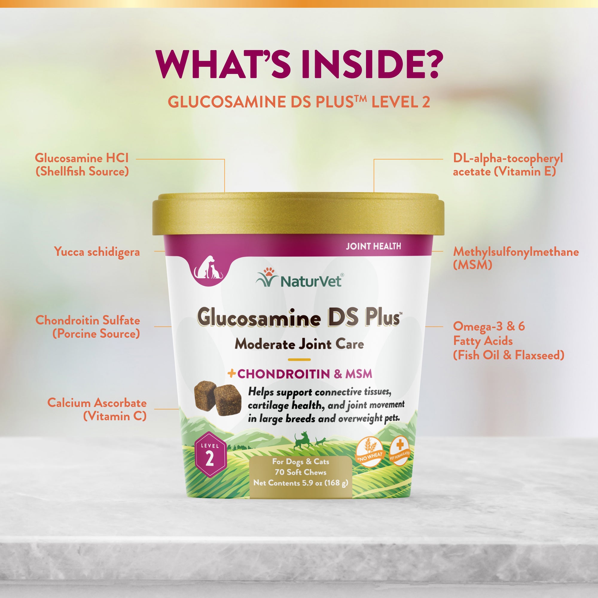 Glucosamine DS Plus Soft Chews