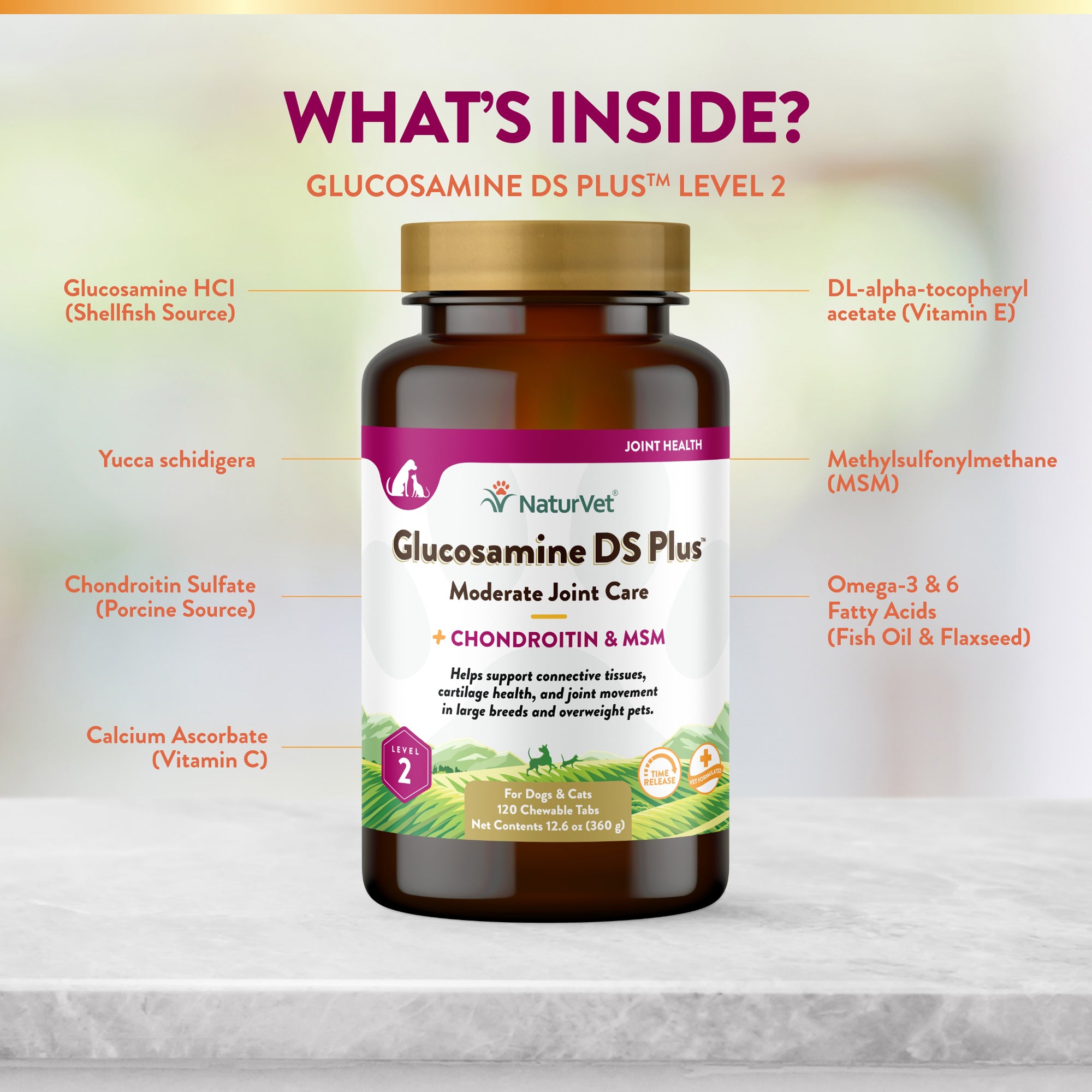 Glucosamine DS Plus Tabs for Dogs and Cats NaturVet