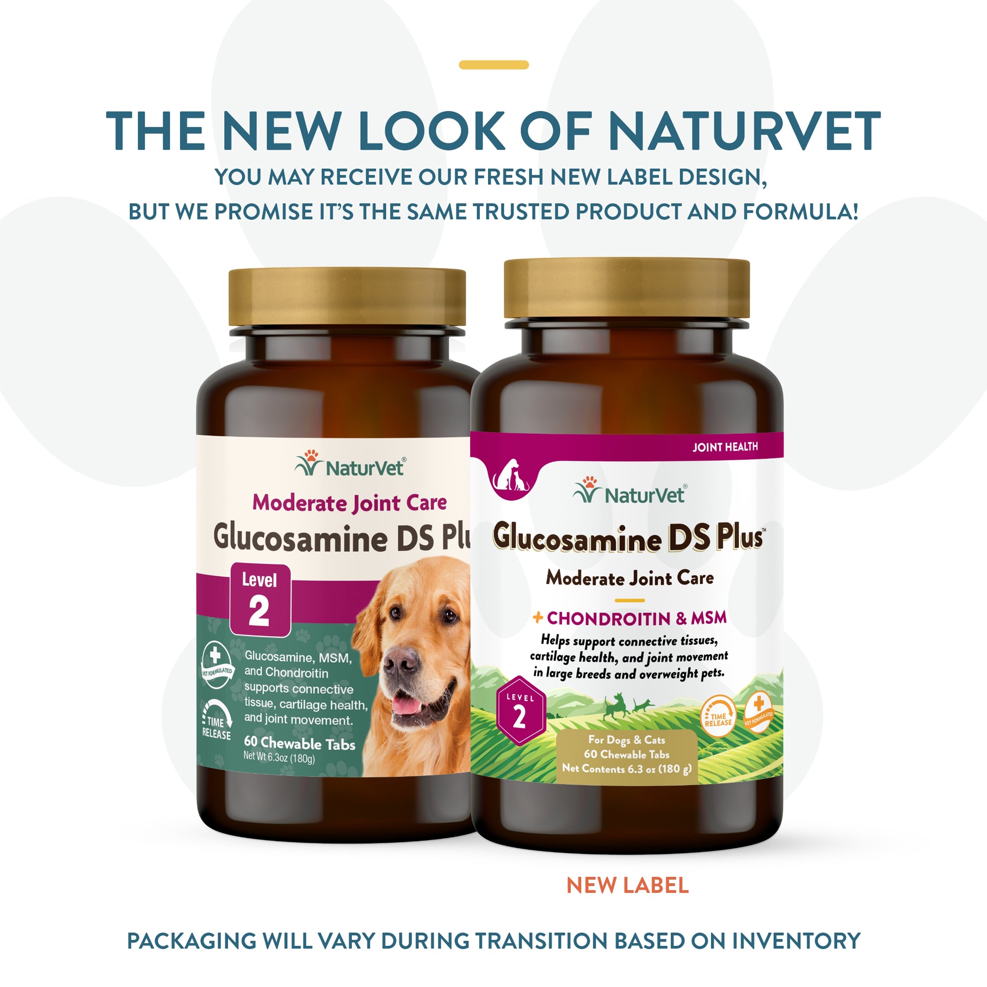 Glucosamine DS Plus Tabs for Dogs and Cats NaturVet