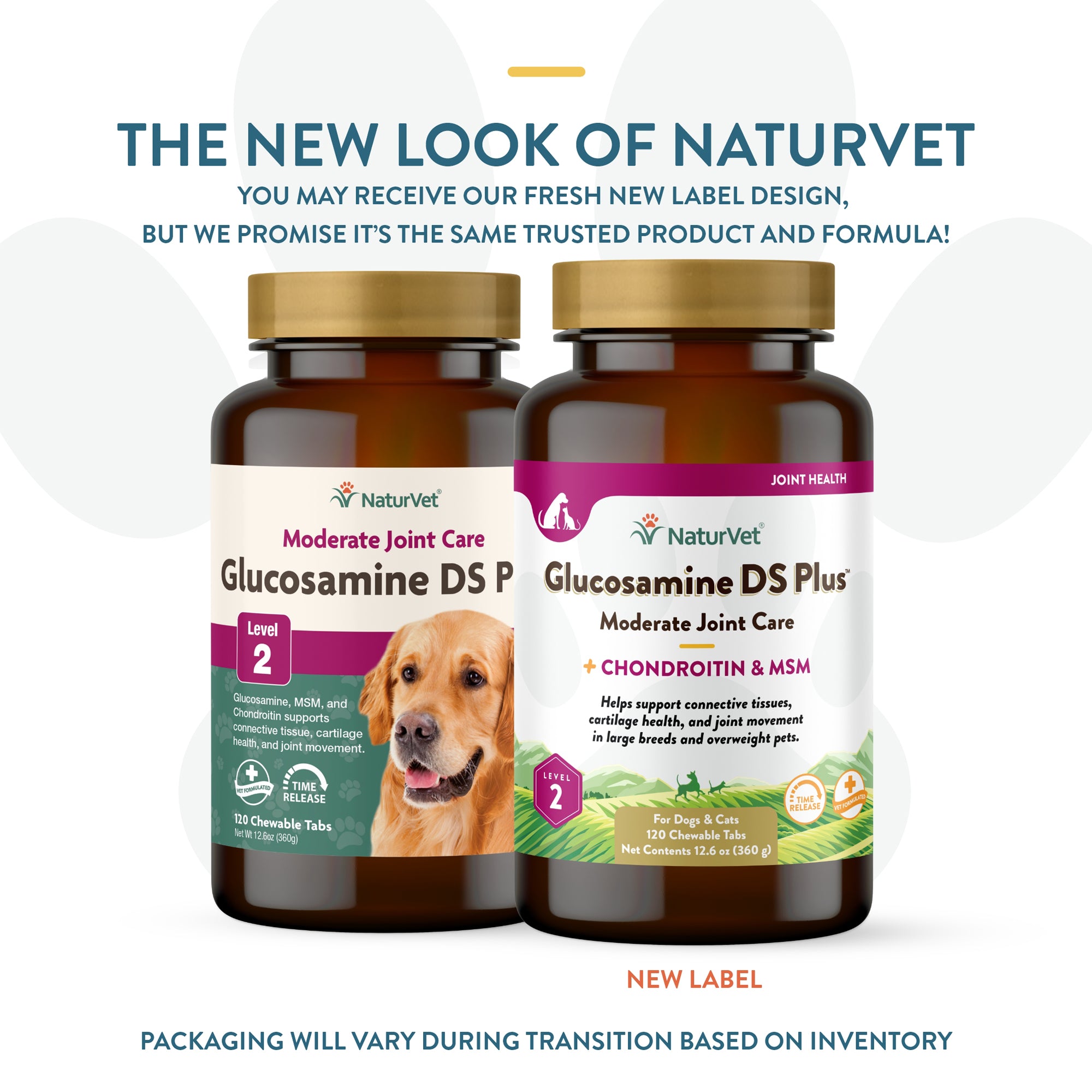 Glucosamine and chondroitin sales supplements for dogs