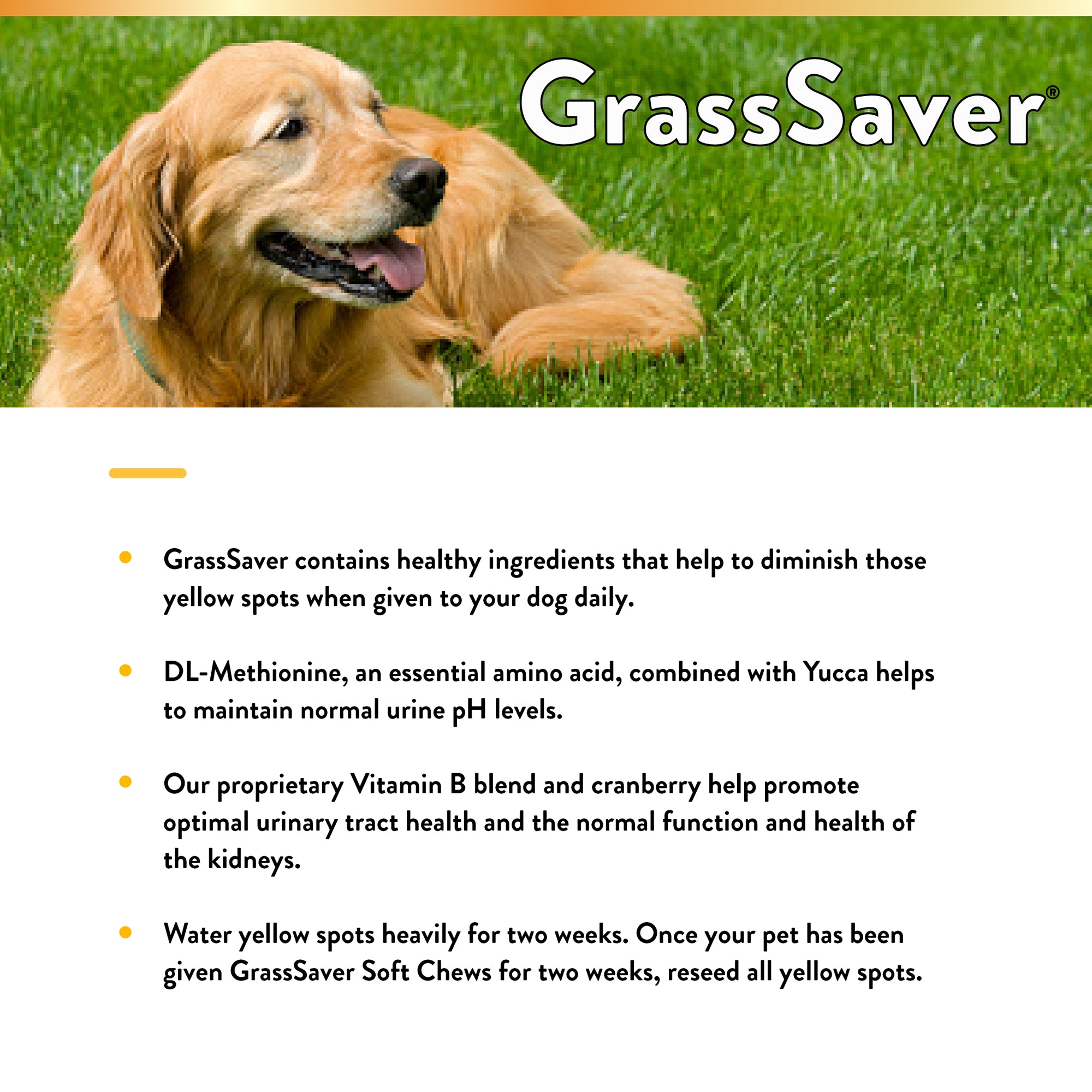 Top paw lawn saver hotsell chewable tablets