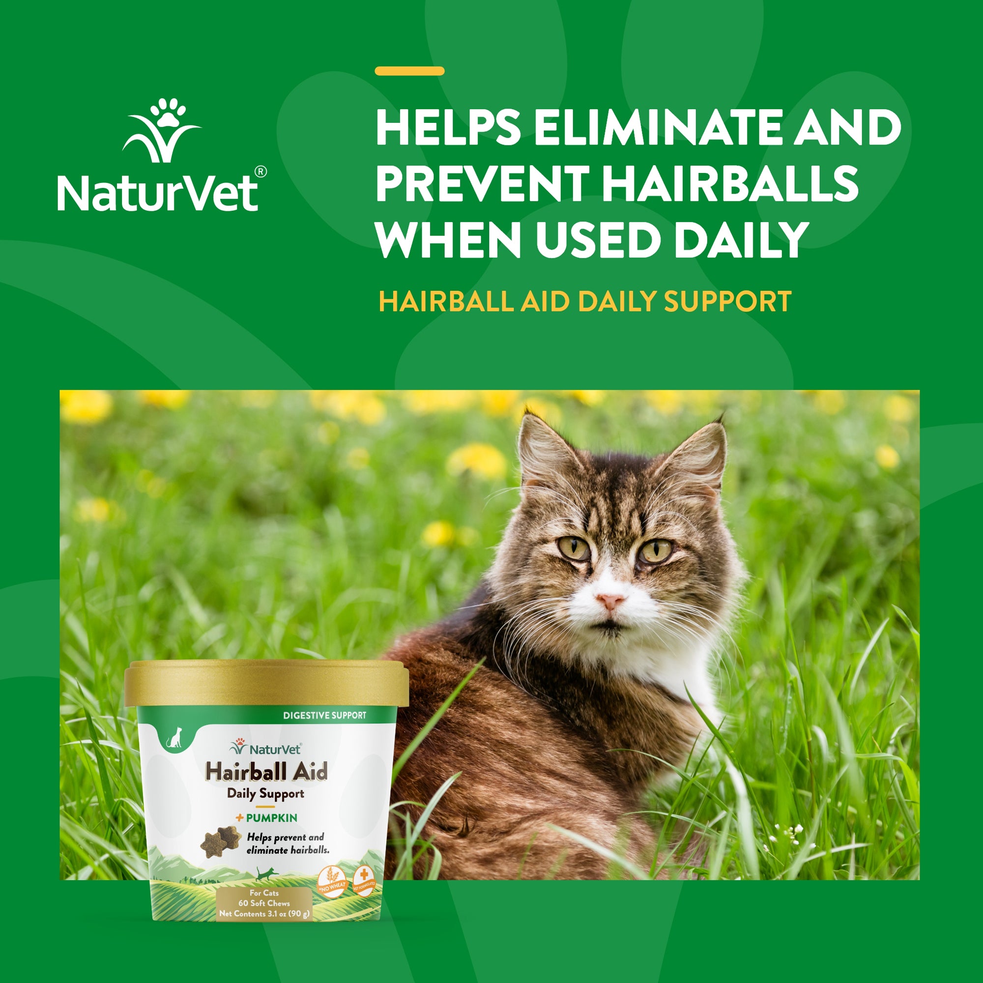 Natural hairball medicine for cats best sale