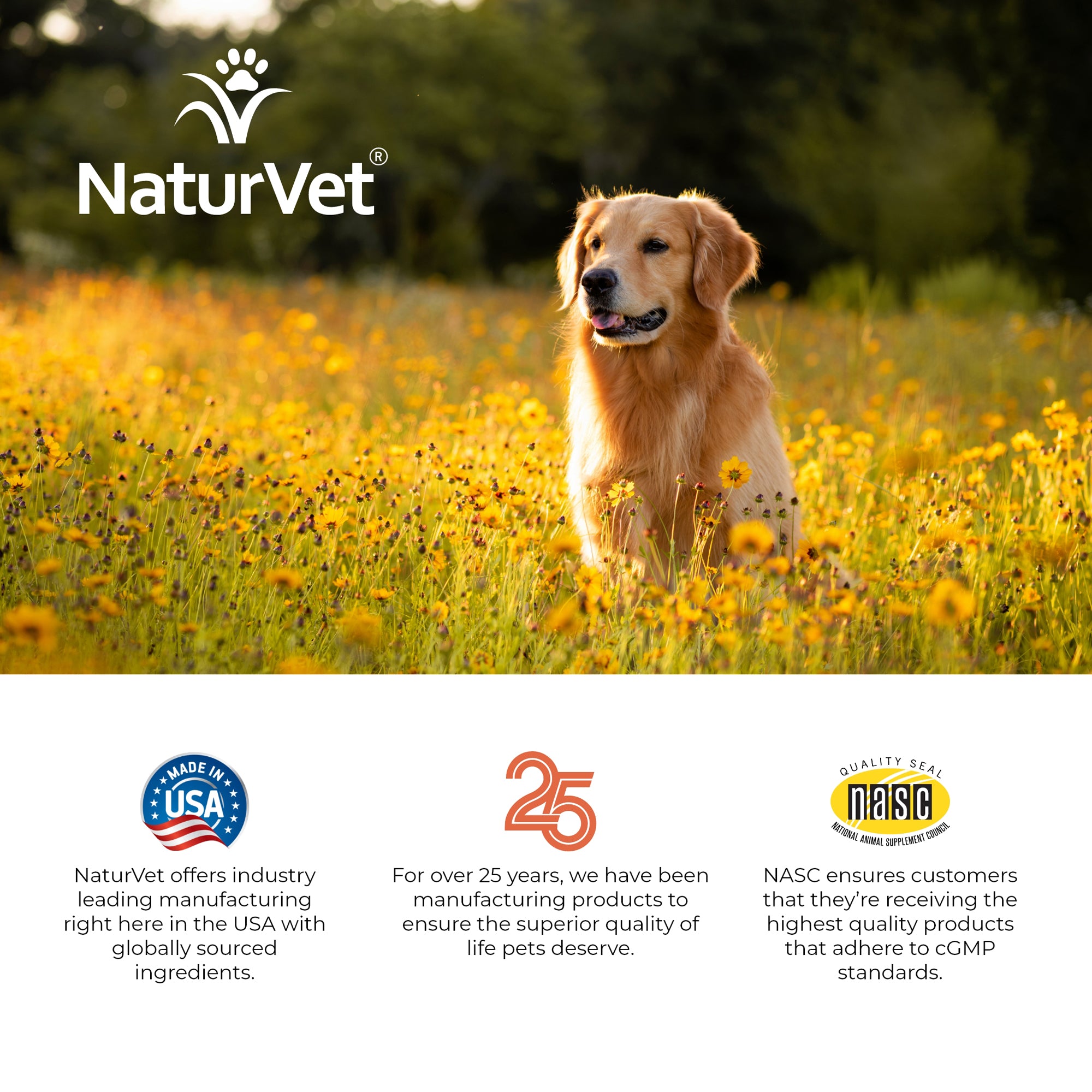 Naturvet hemp allergy aid shop soft chews for dogs