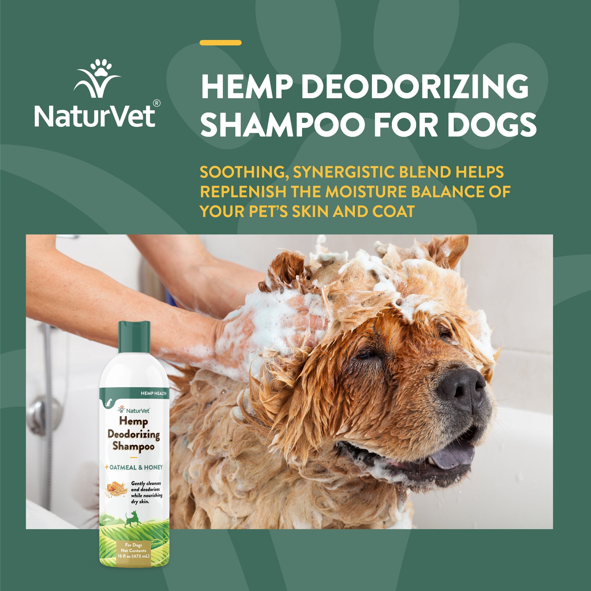 Best deodorizing dog sales shampoo