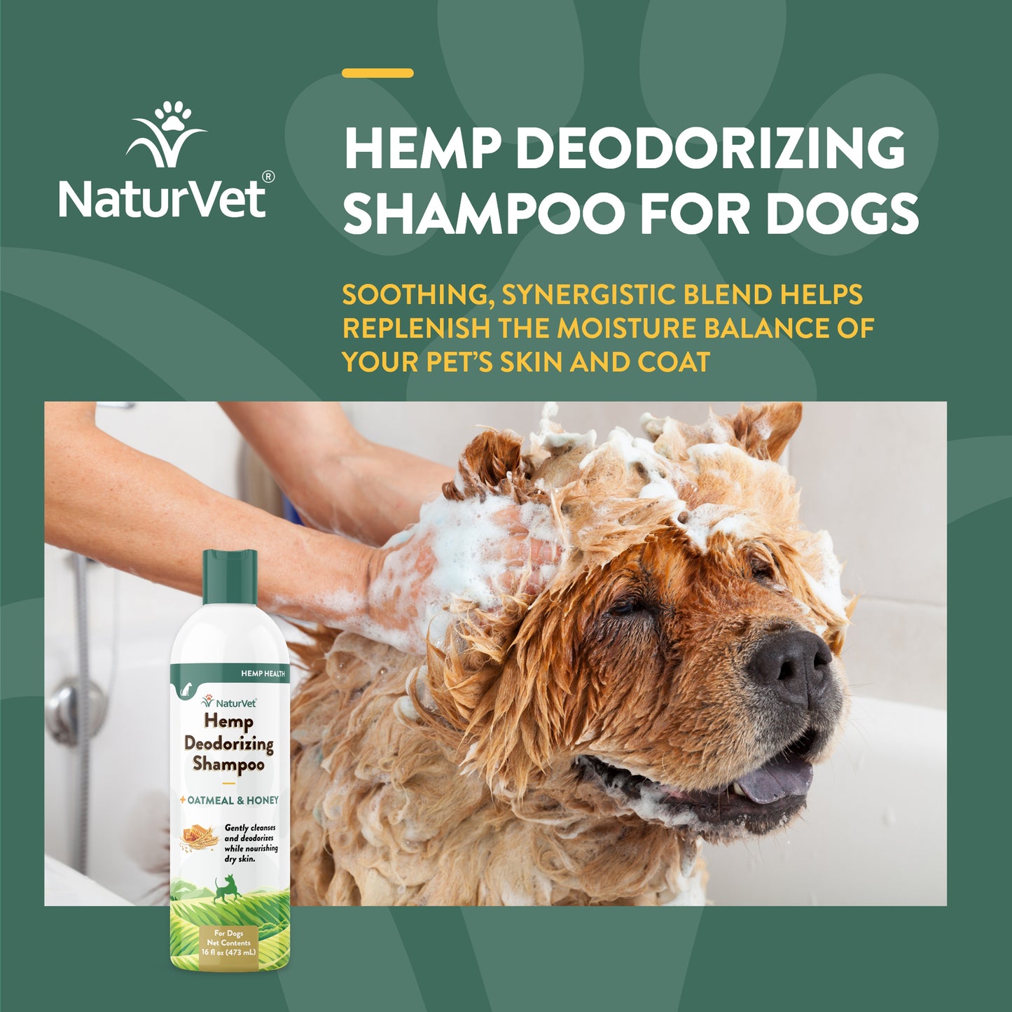 Hemp Shampoo - Deodorizing