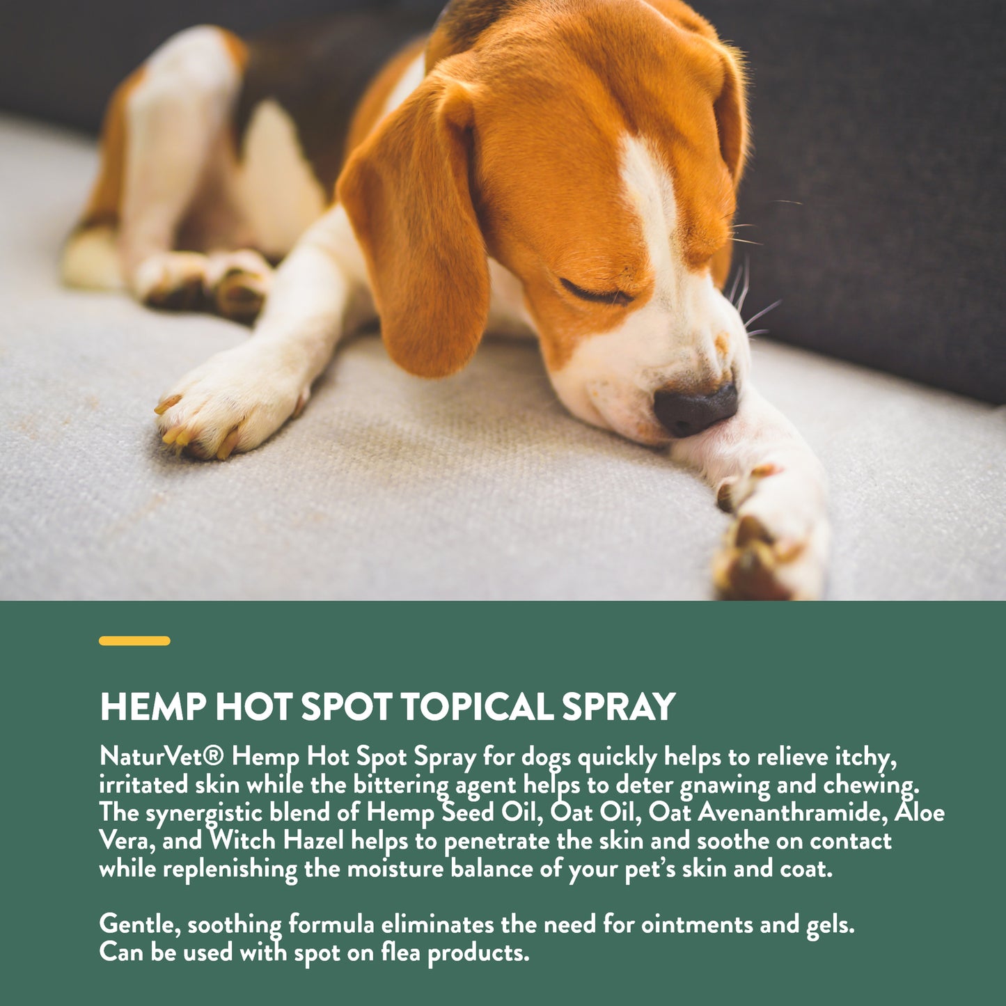 Hemp Hot Spot Spray