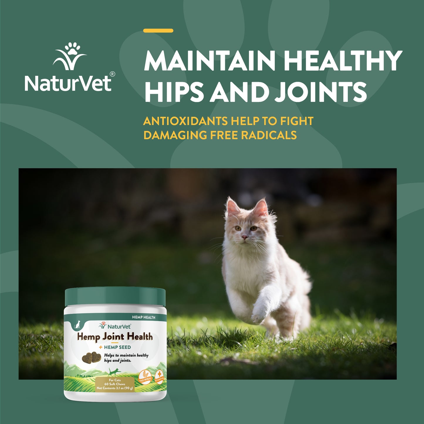 Hemp Joint Health Cat Soft Chews