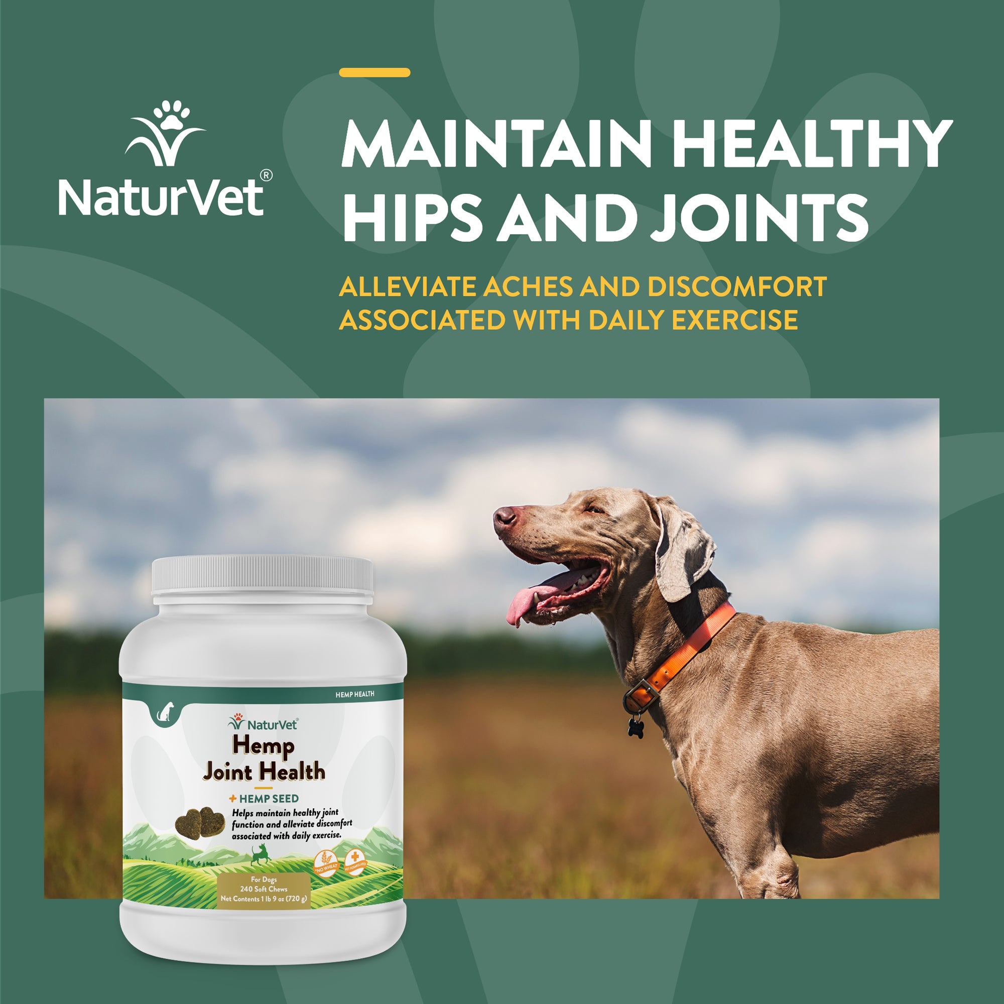 Naturvet hemp aches and discomfort best sale