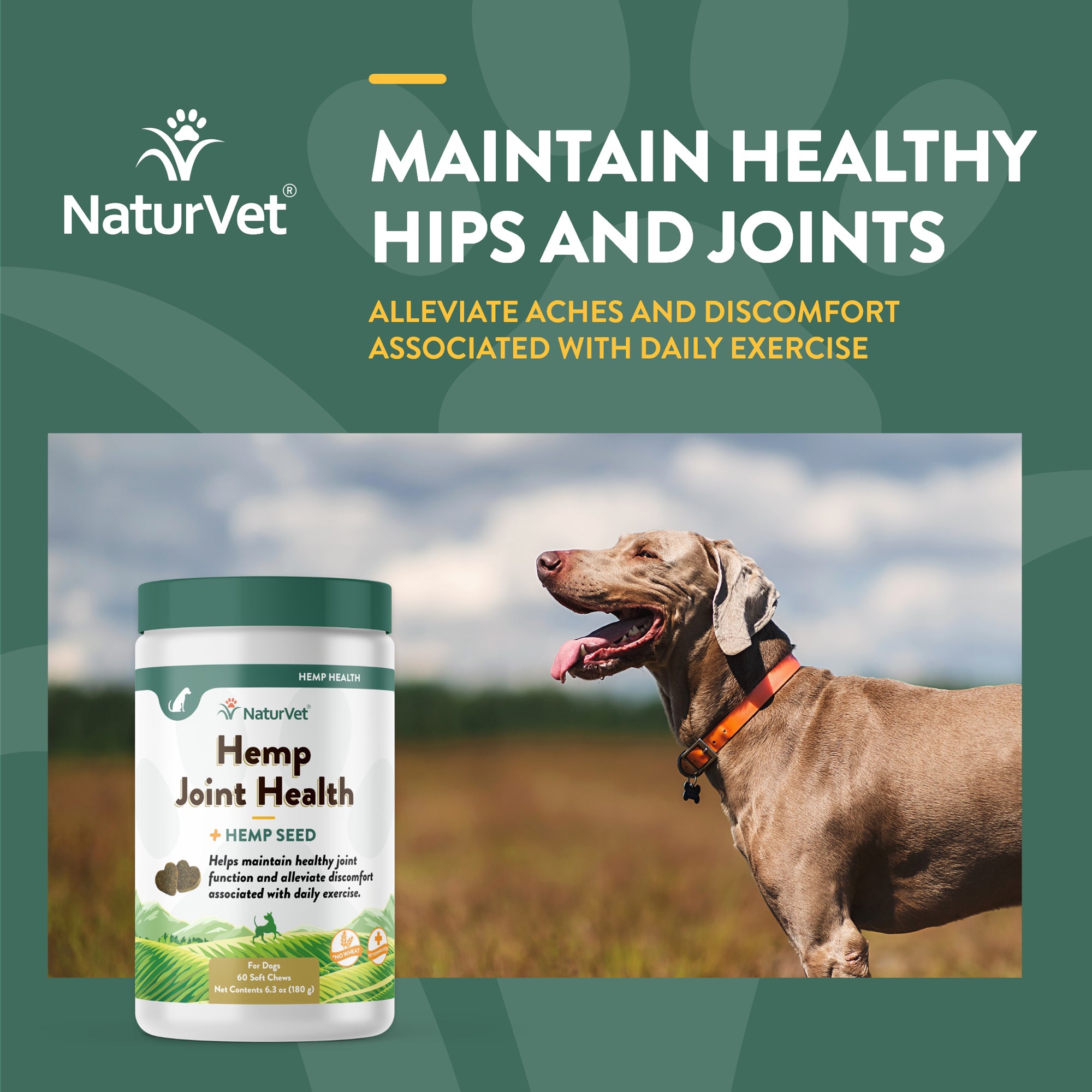 Joint health chews for dogs best sale