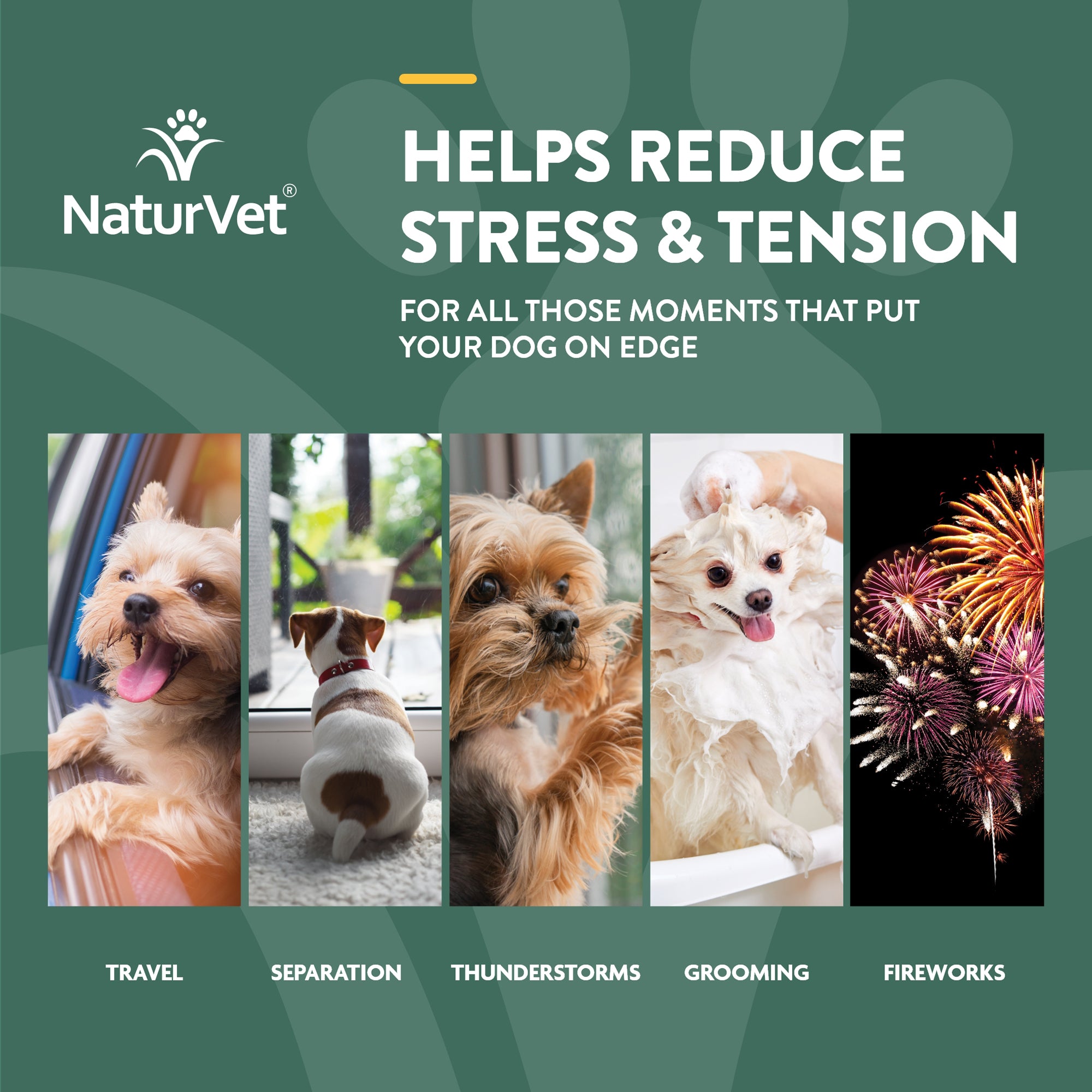 Naturvet quiet moments plus hemp outlet calming aid soft chews for dogs