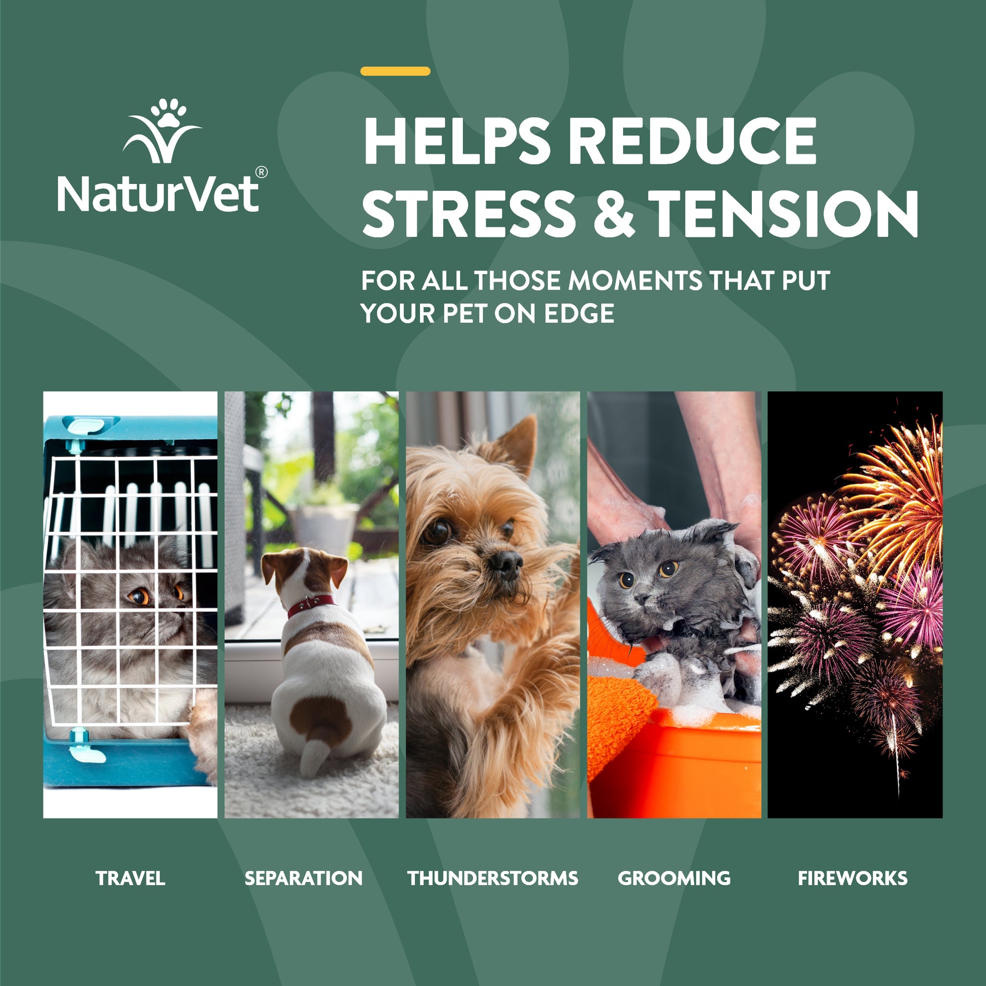 Pet Calming Drops with Hemp NaturVet