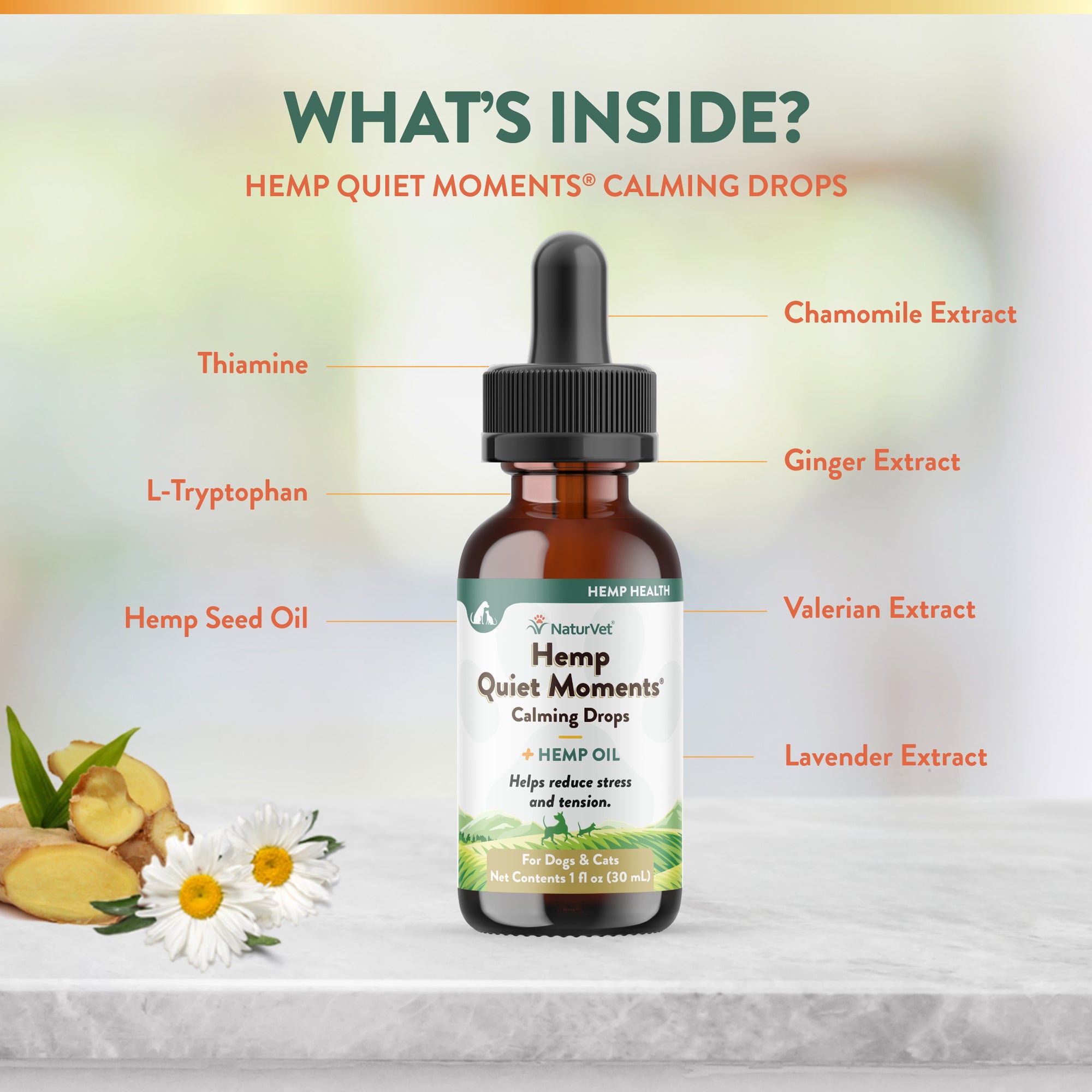 Hemp Quiet Moments Calming Drops Calming Aid