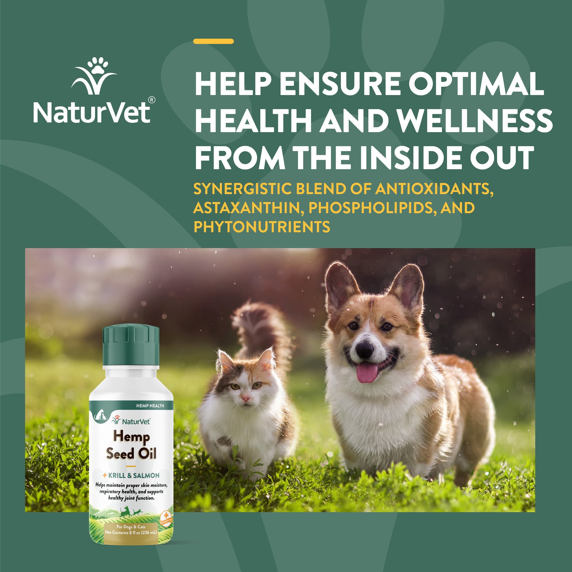 Hemp Seed Oil for Dogs and Cats NaturVet