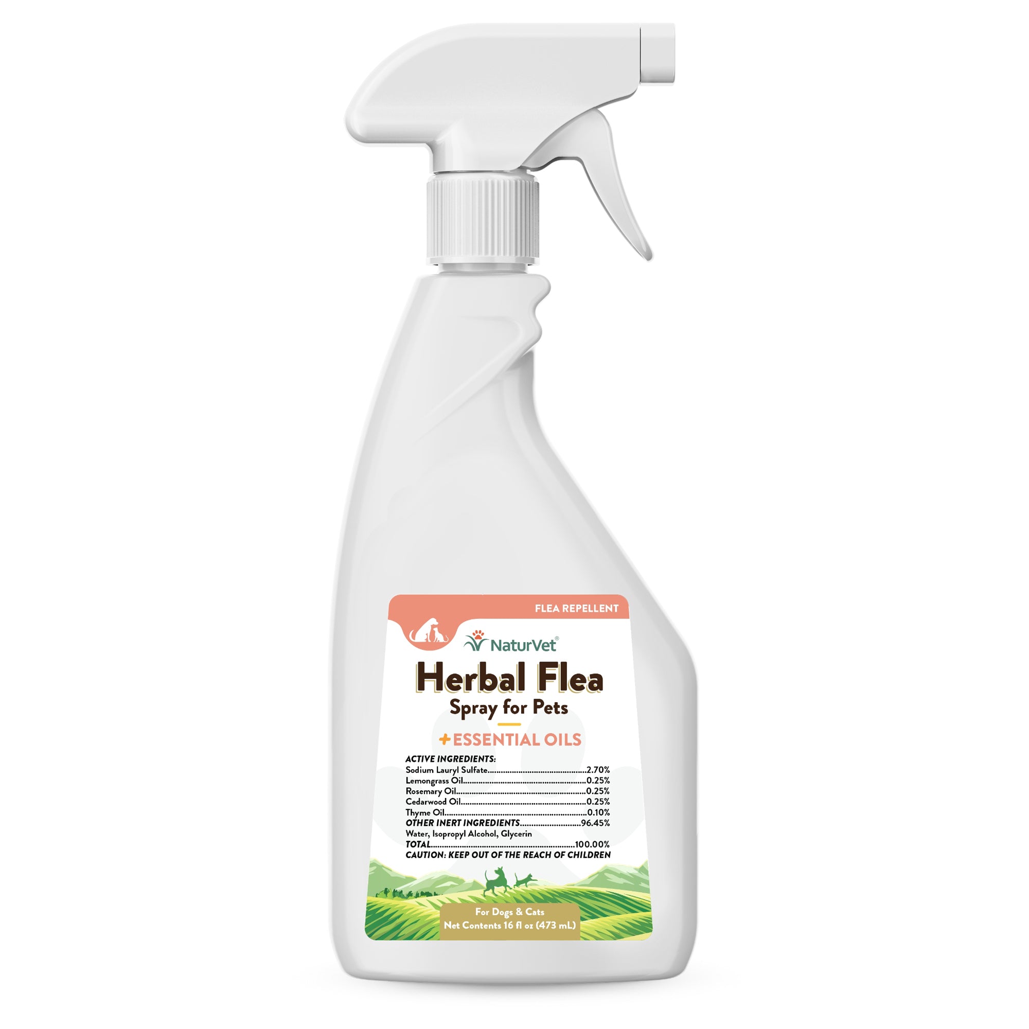 Home remedy flea spray for dogs best sale