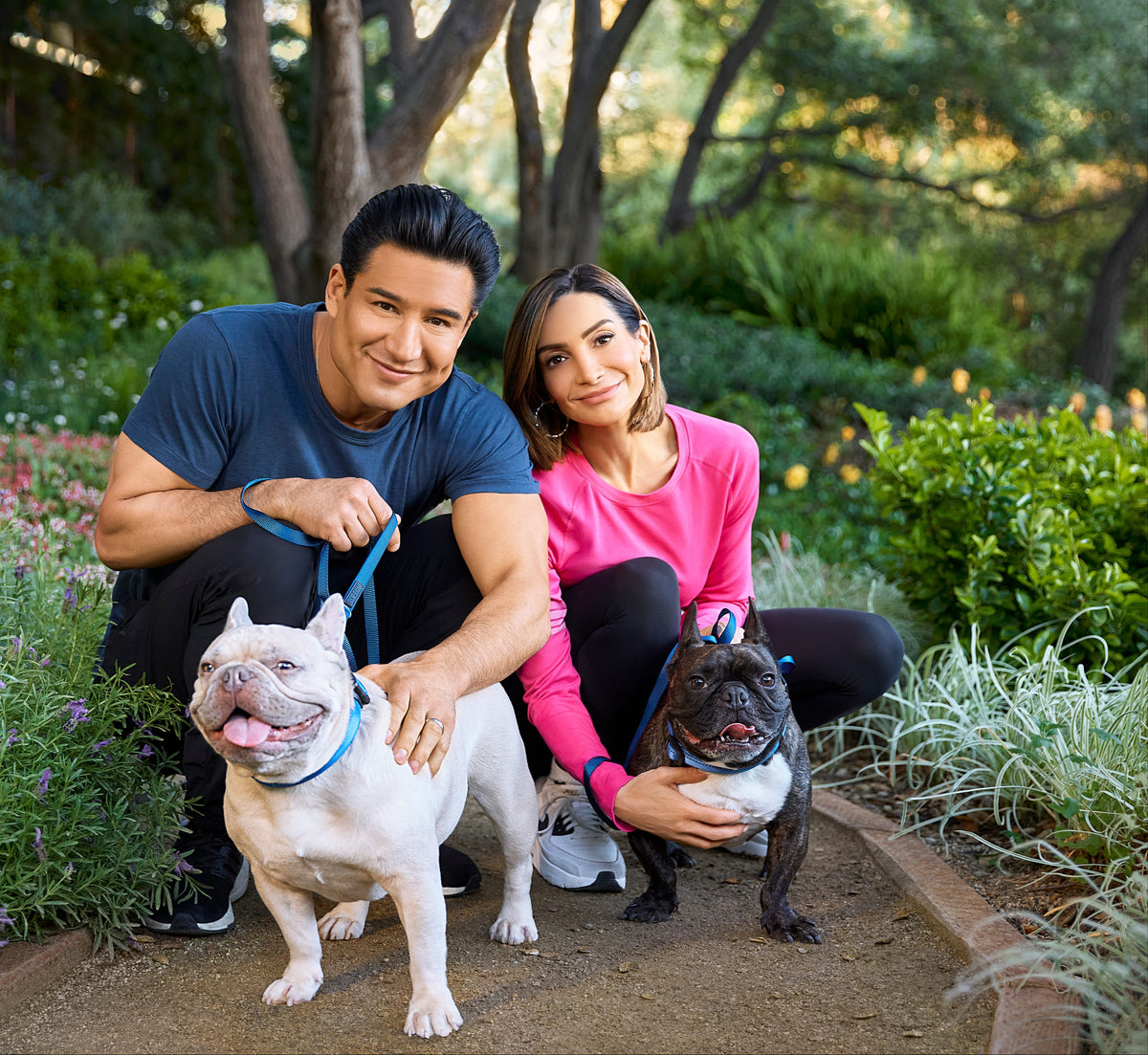 Proactive Pet <br>Health & Wellness