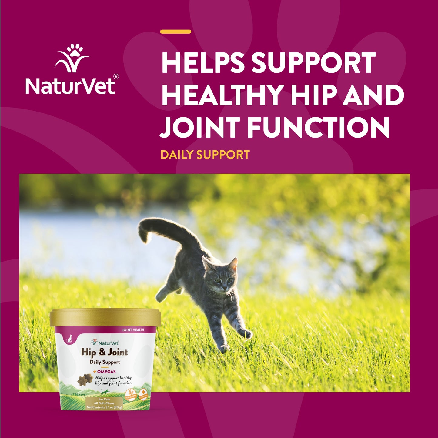 Hip & Joint Cat Soft Chews