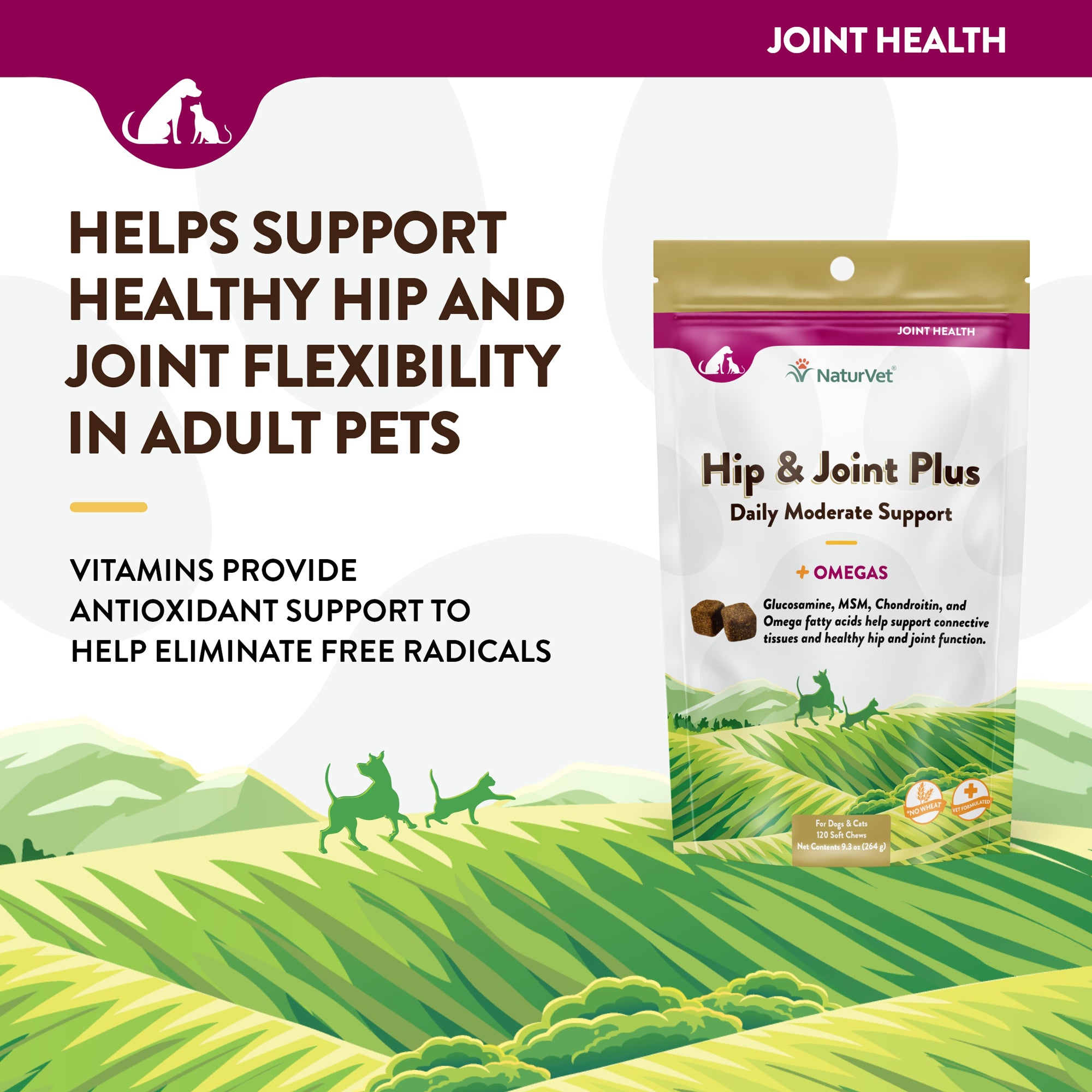 Pet naturals hip and joint best sale