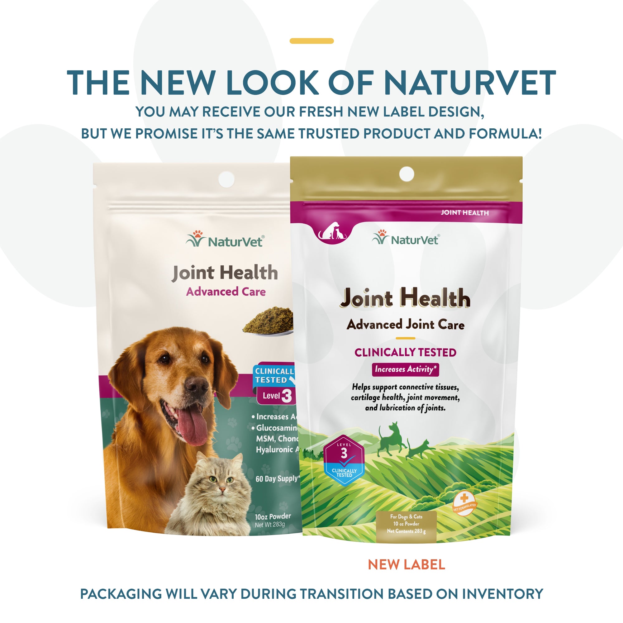 Pet joint health hotsell