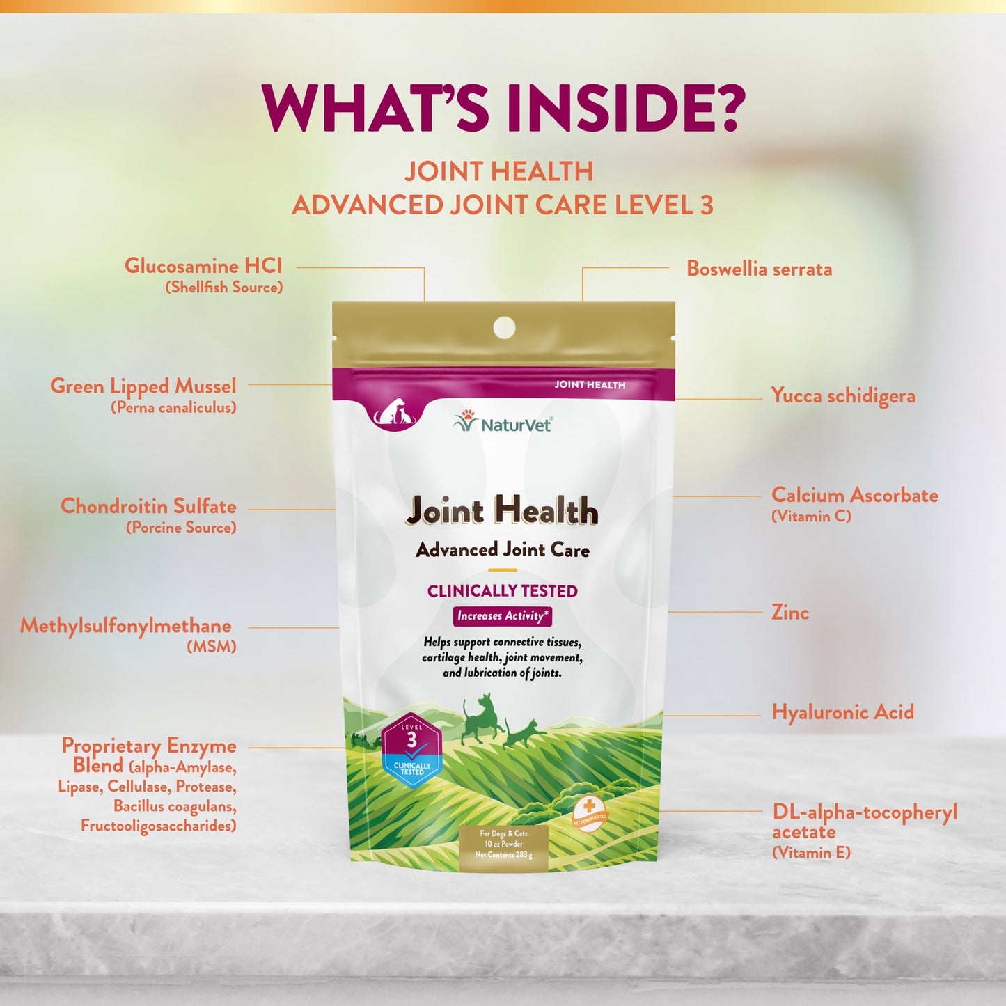 Joint Health Level 3 Powder