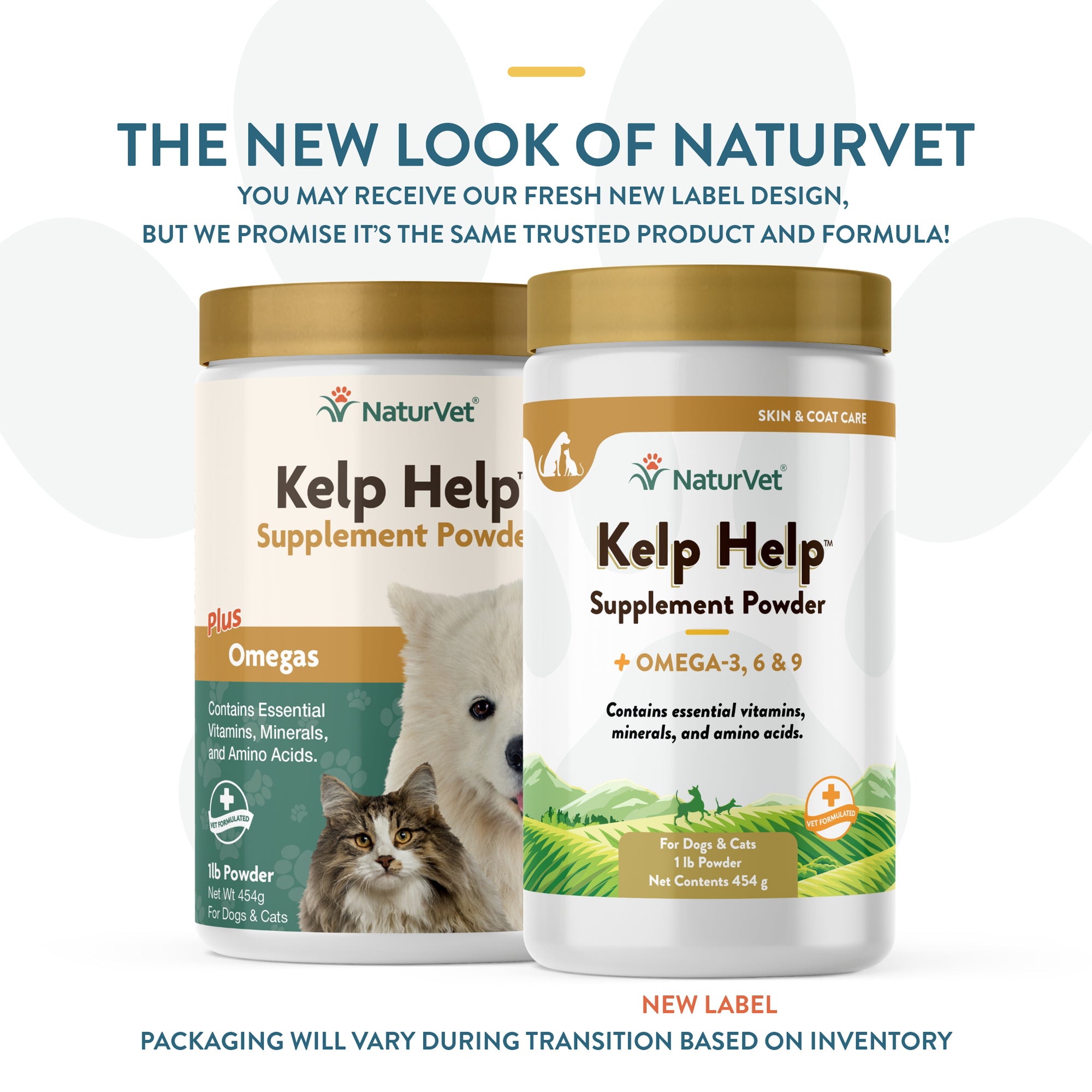 Best kelp outlet supplement for dogs