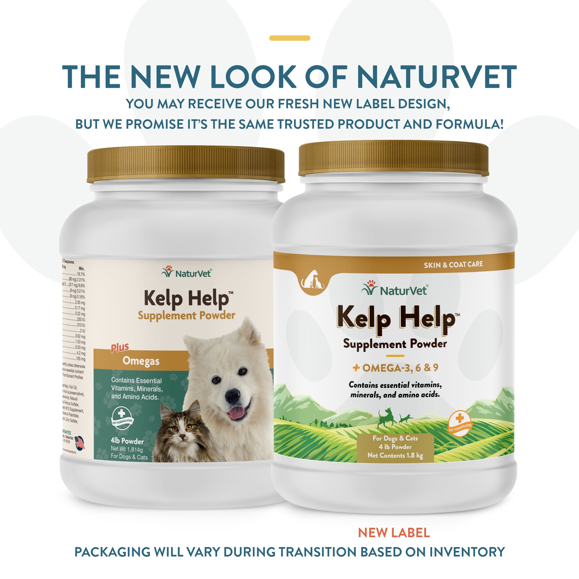 Best kelp supplement for clearance dogs