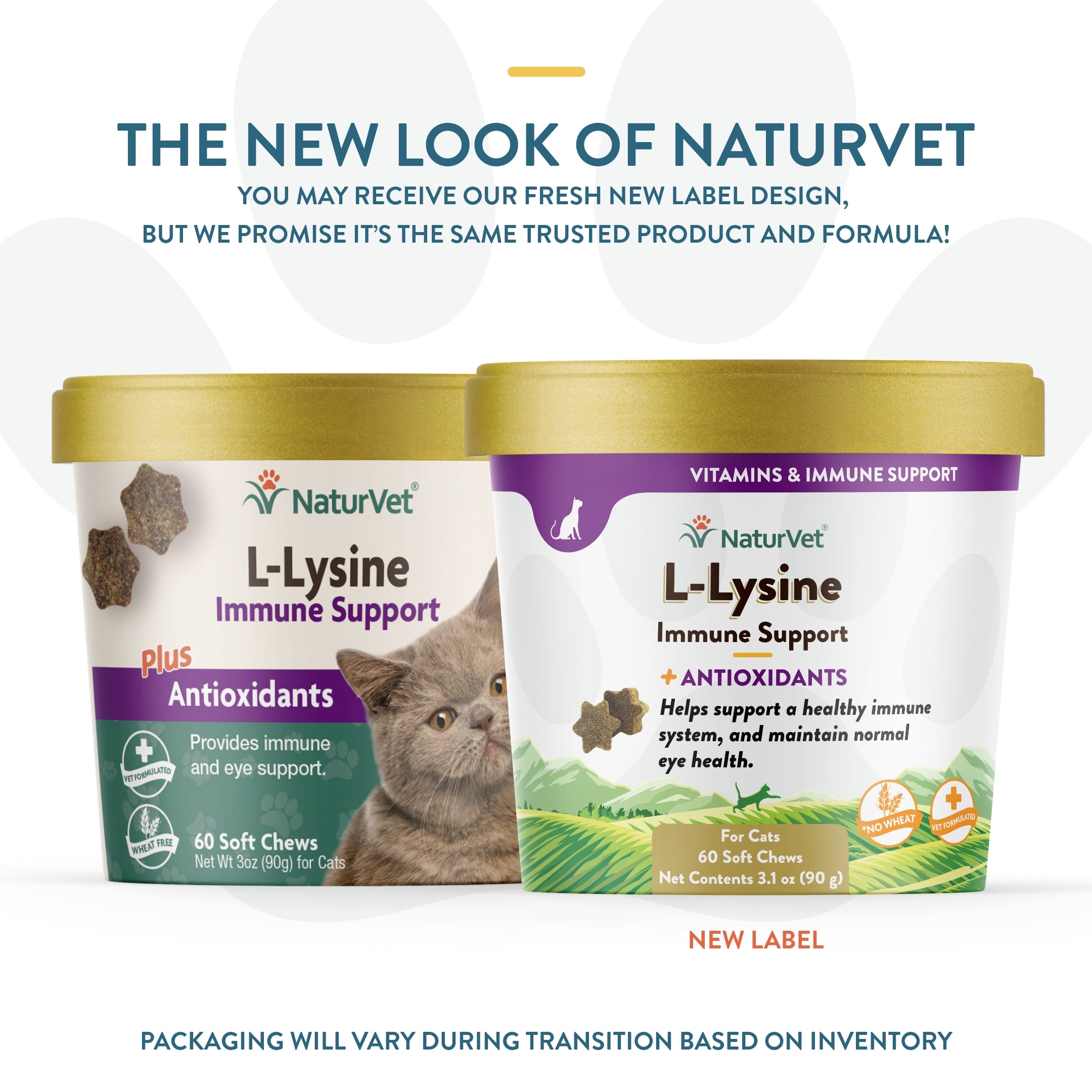 Cat food best sale with lysine