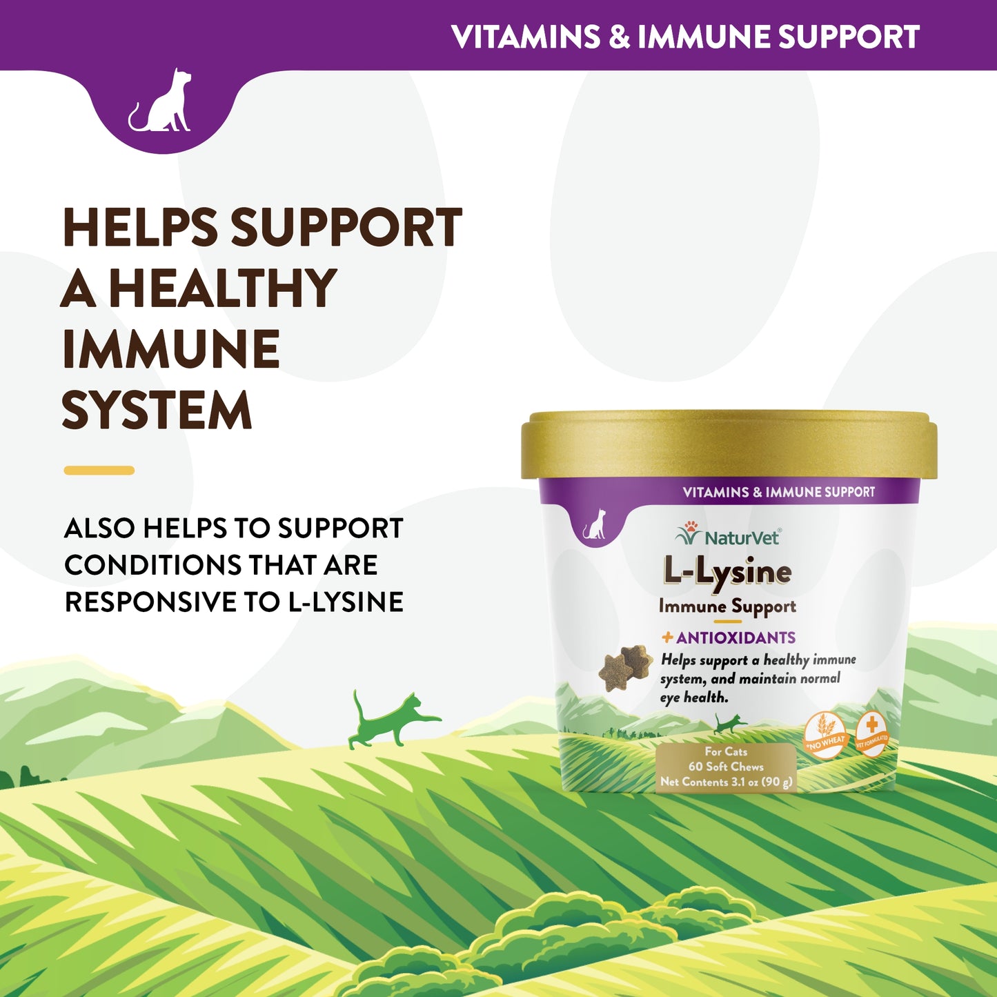 L-Lysine - Immune Support For Cats
