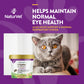 L-Lysine - Immune Support For Cats
