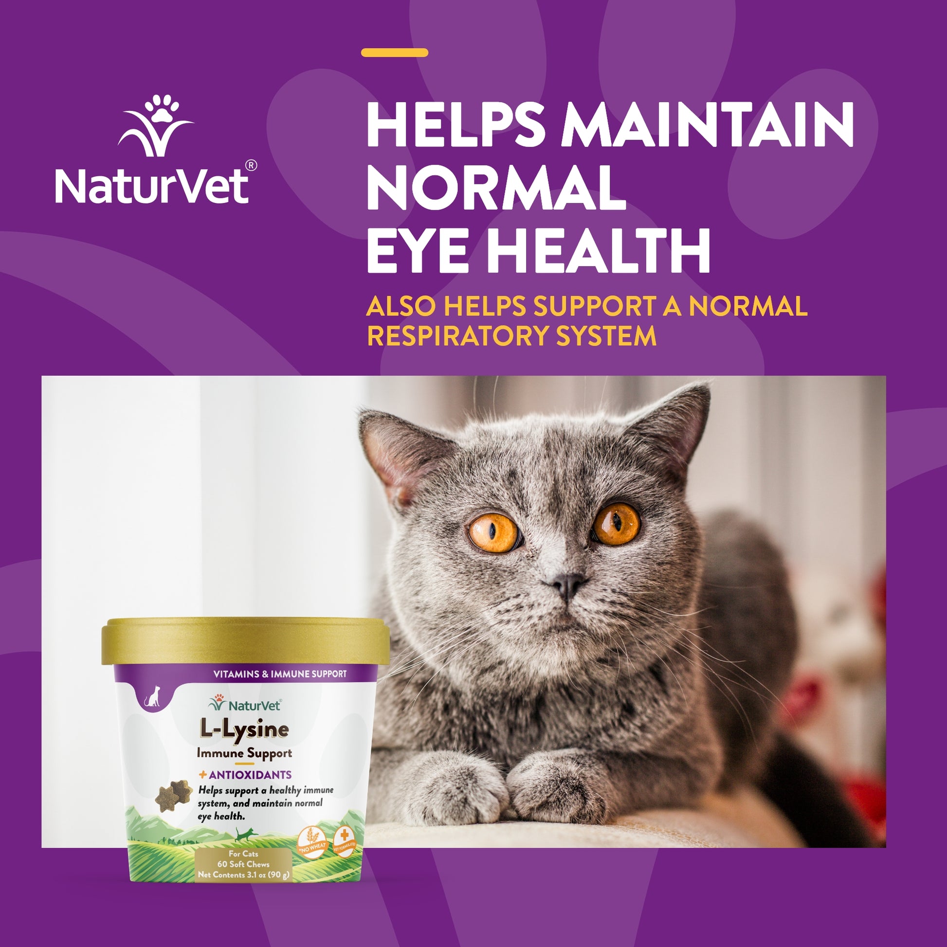 NaturVet L-Lysine – Soutien immunitaire pour les chats 