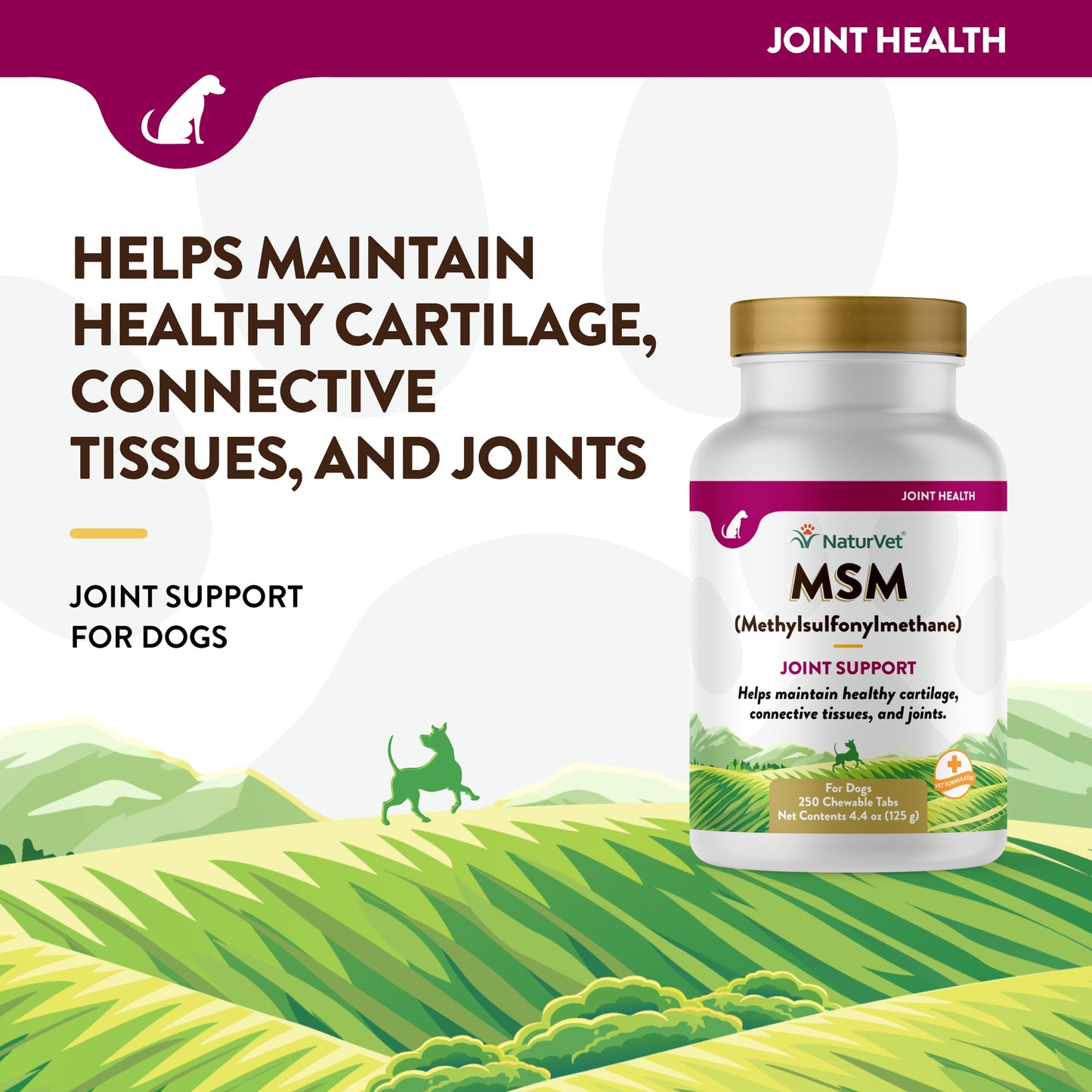 MSM Chewable Tablets