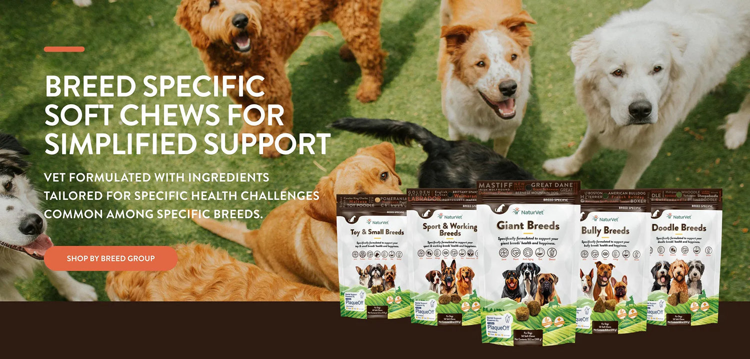 New vet vitamins clearance