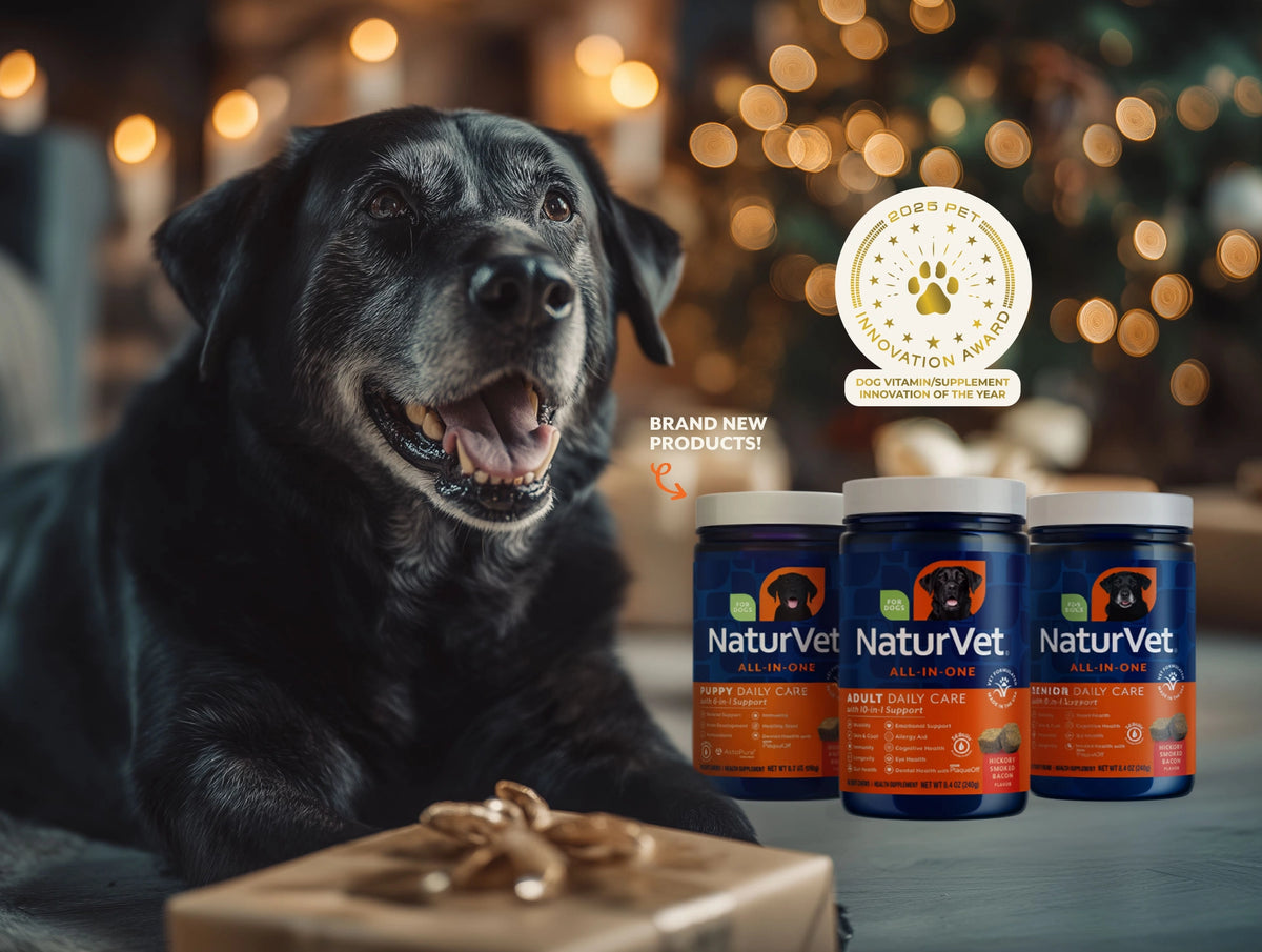 The Gift That Keeps Tails Wagging