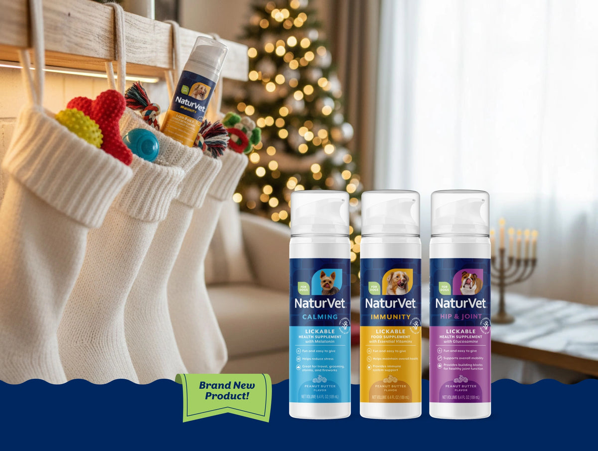 It’s Beginning to Taste a Lot Like Wellness