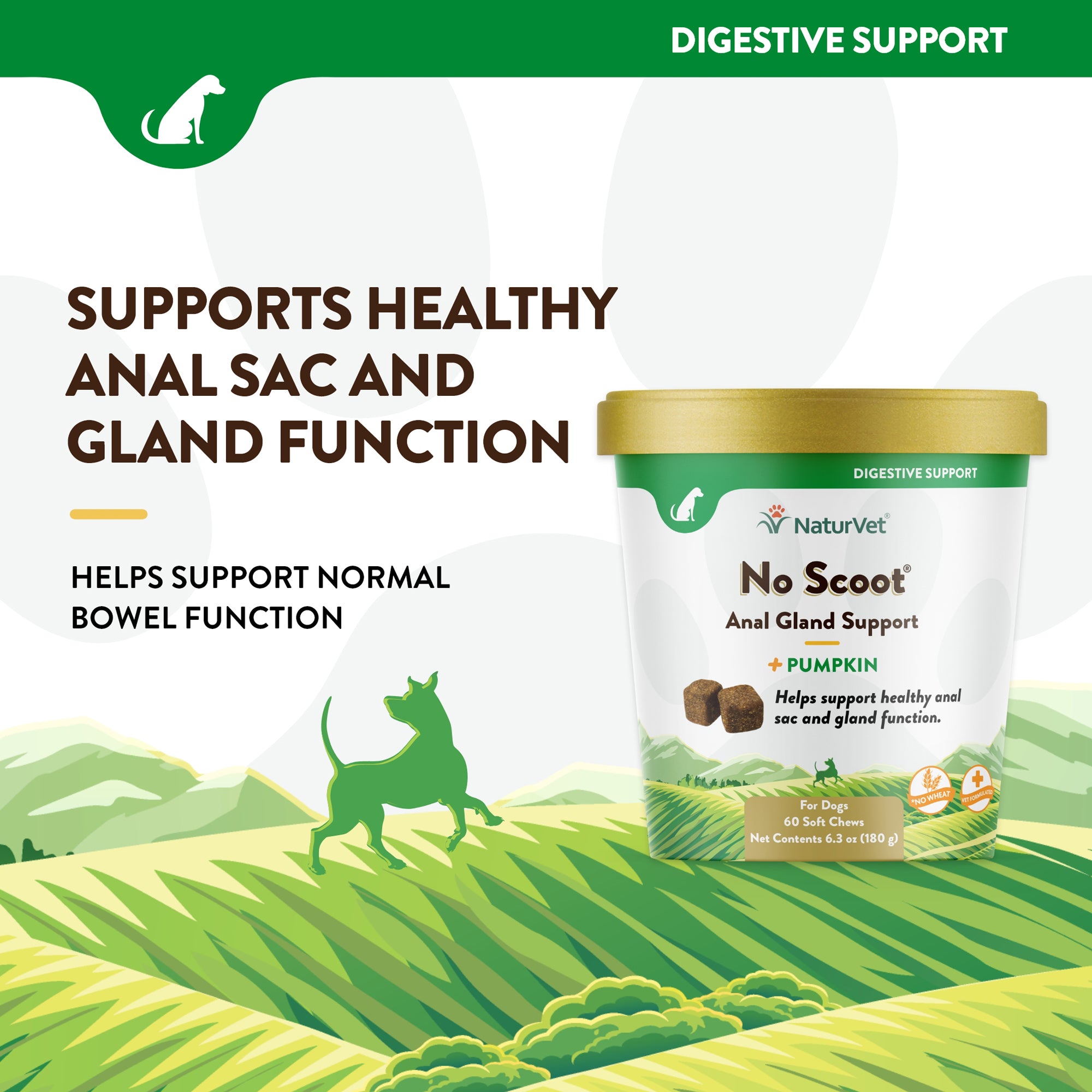 No Scoot Soft Chews for Dogs NaturVet