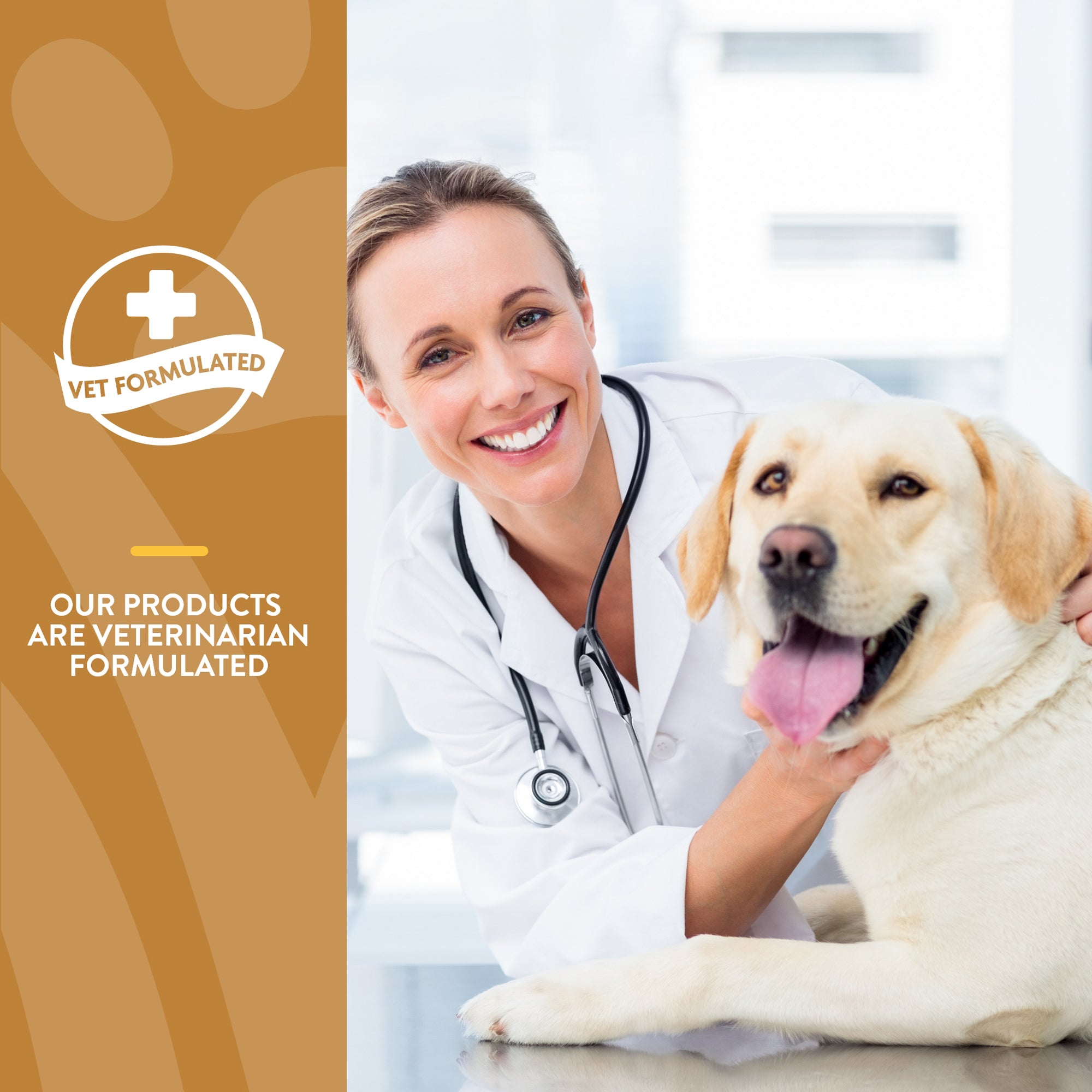 Naturvet omega gold plus hotsell salmon oil