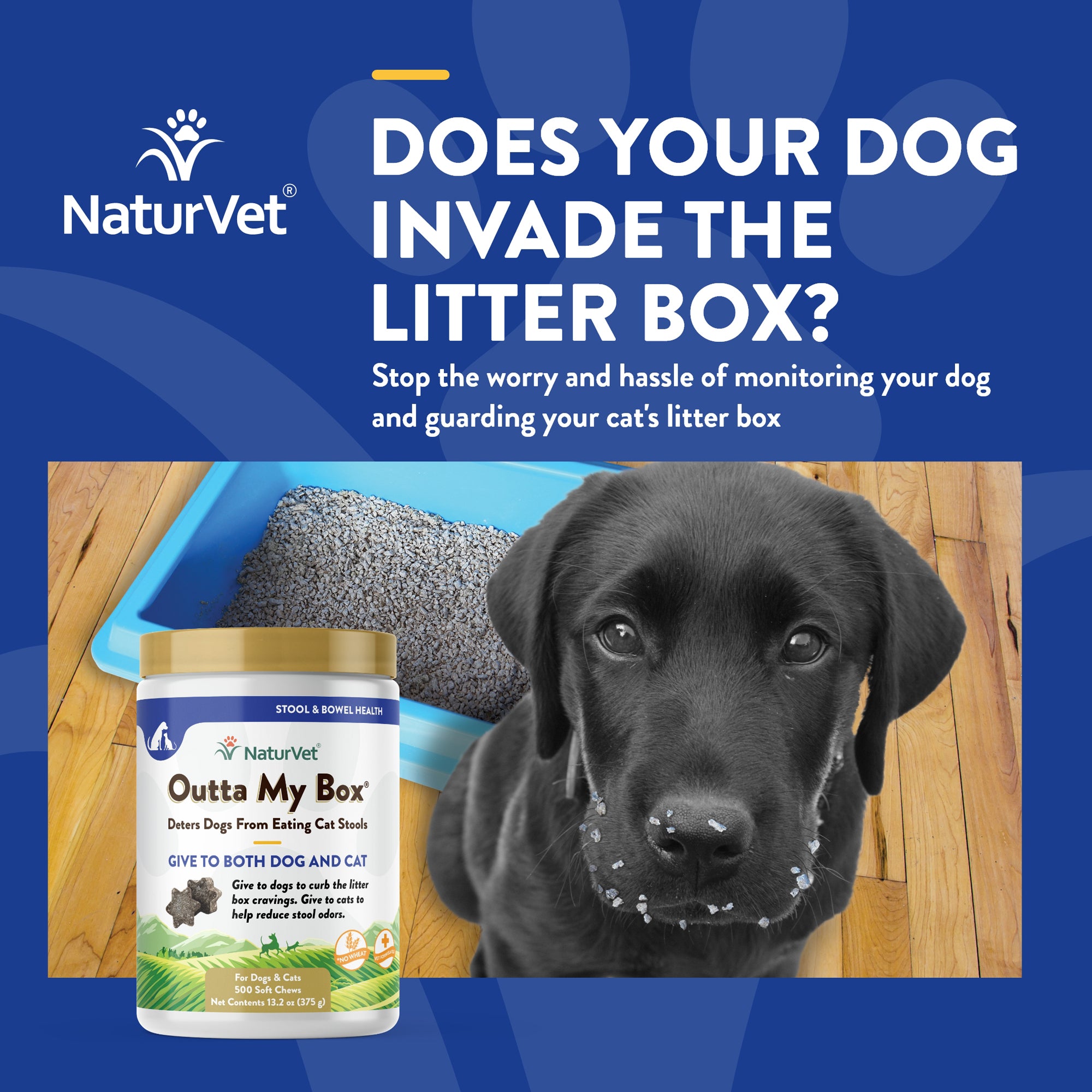 Outta My Box Soft Chews NaturVet