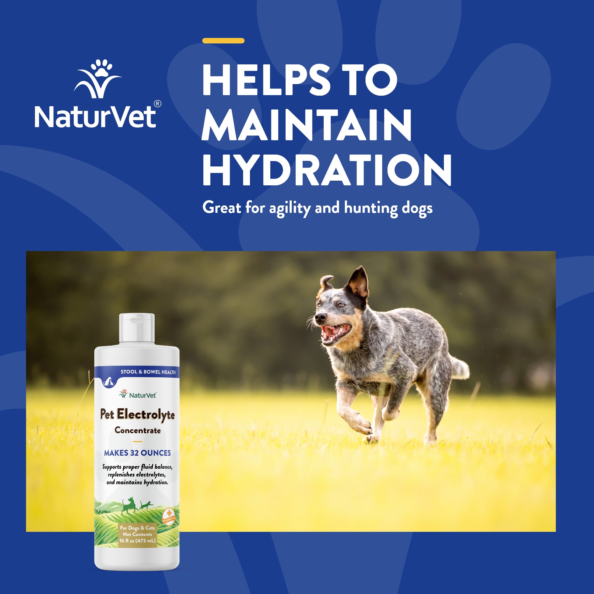 Pet Electrolyte Concentrate for Dogs and Cats NaturVet