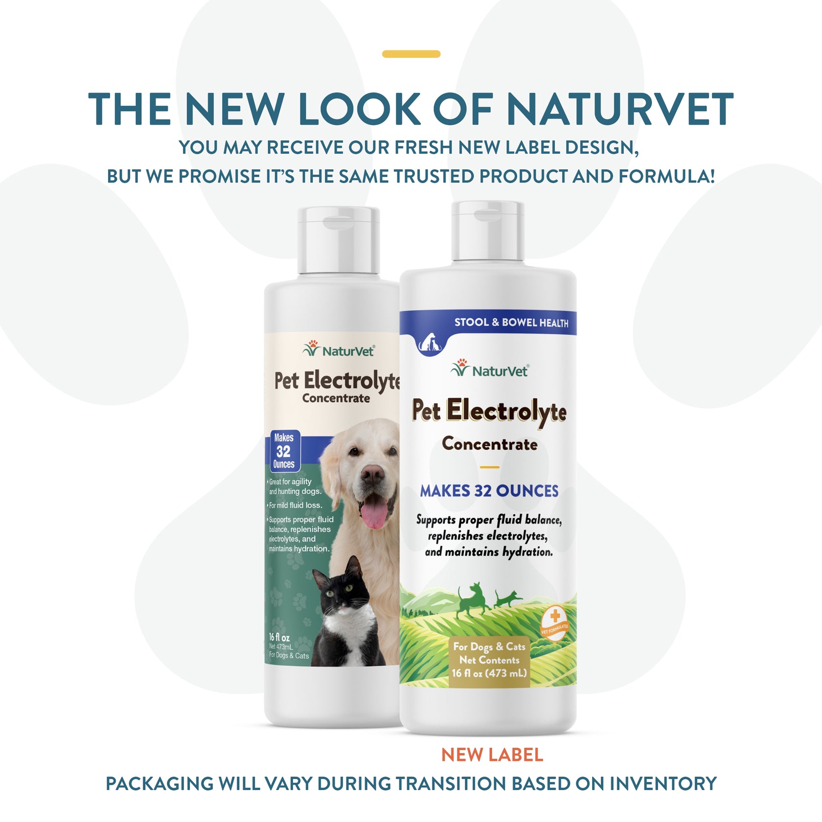 Pet Electrolyte Concentrate for Dogs and Cats - NaturVet®