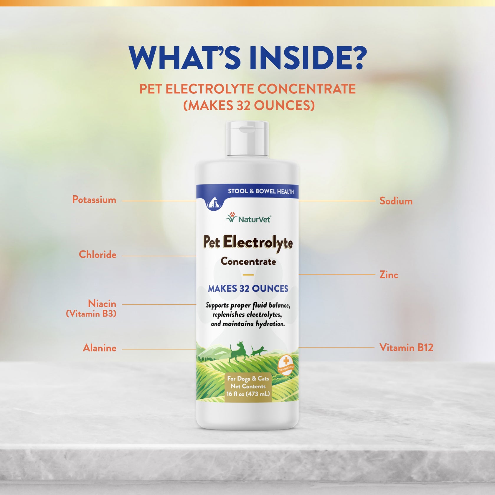 Pet Electrolyte Concentrate for Dogs and Cats NaturVet®