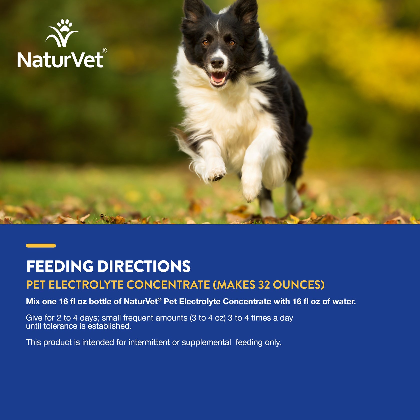 Pet Electrolyte Concentrate for Dogs and Cats NaturVet®
