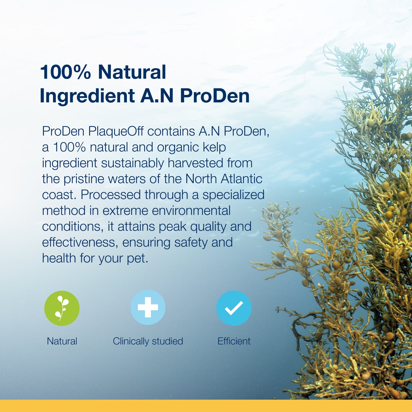 ProDen PlaqueOff® Powder