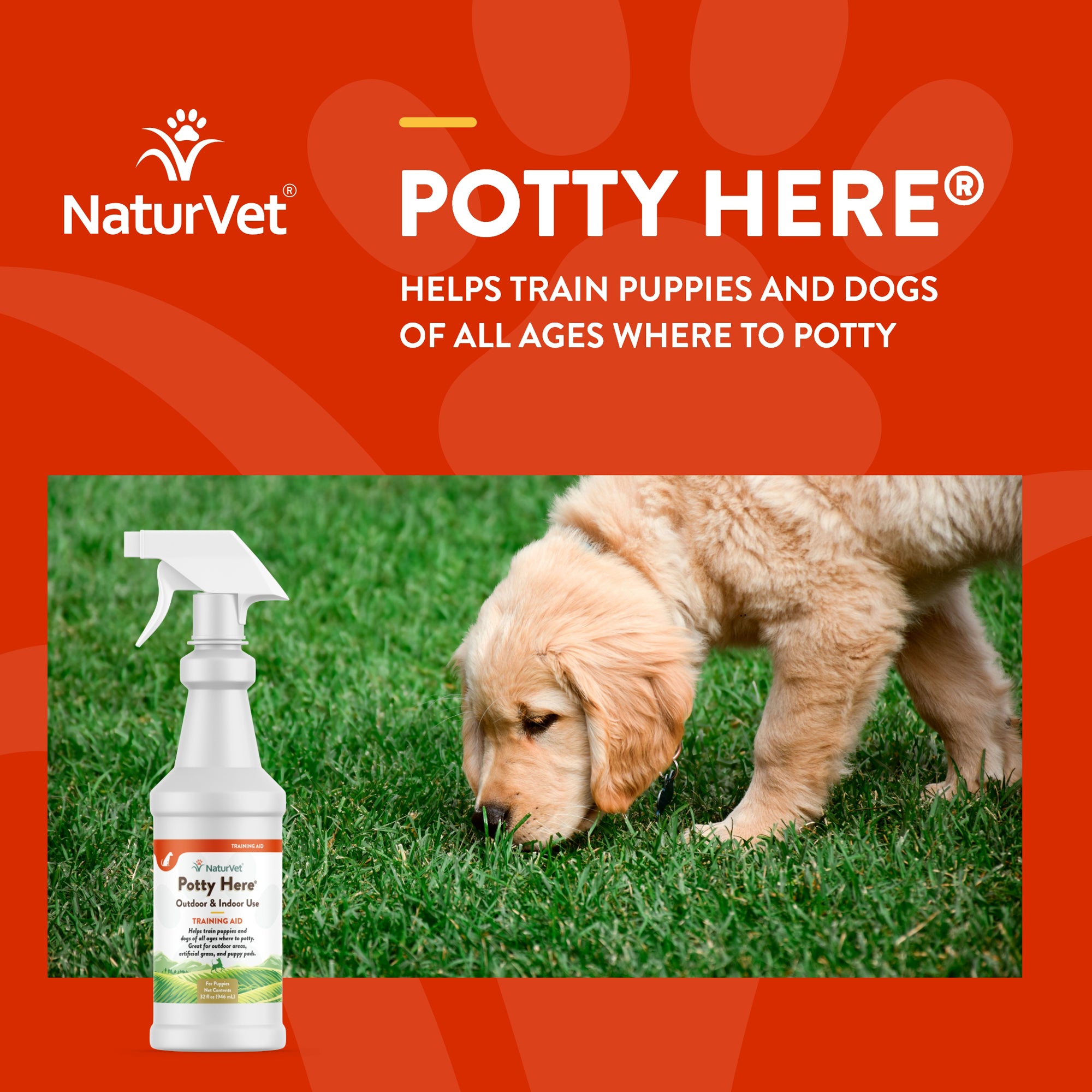 NaturVet Potty Here Training Aid Spray