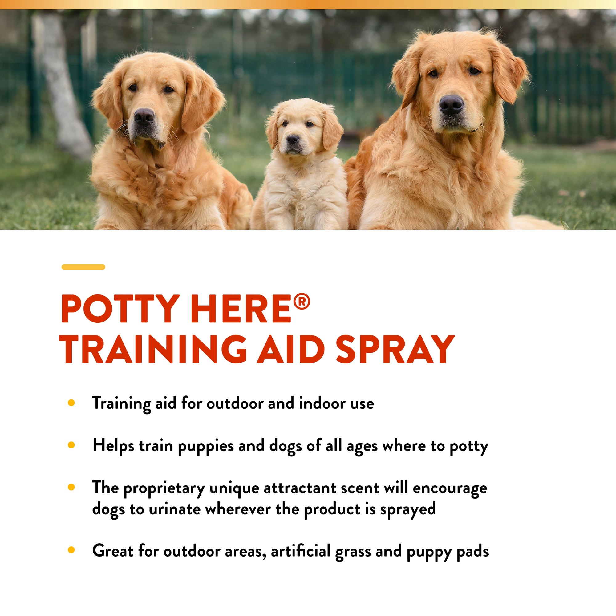 NaturVet Potty Here Training Aid Spray 32 oz